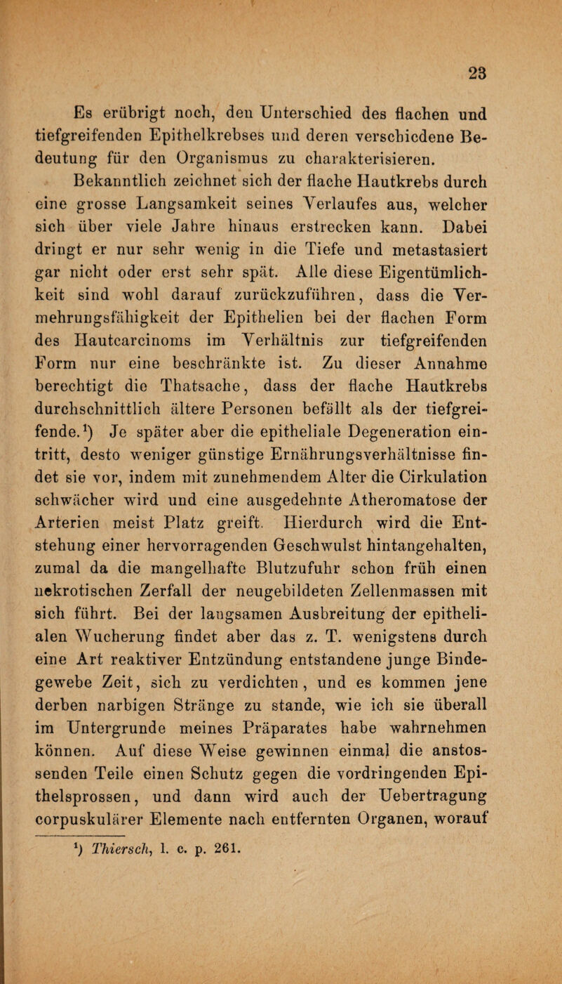 Es erübrigt noch, den Unterschied des flachen und tiefgreifenden Epithelkrebses und deren verschiedene Be¬ deutung für den Organismus zu charakterisieren. Bekanntlich zeichnet sich der flache Hautkrebs durch c-ine grosse Langsamkeit seines Verlaufes aus, welcher sich über viele Jahre hinaus erstrecken kann. Dabei dringt er nur sehr wenig in die Tiefe und metastasiert gar nicht oder erst sehr spät. Alle diese Eigentümlich¬ keit sind wohl darauf zurückzuführen, dass die Ver¬ mehrungsfähigkeit der Epithelien bei der flachen Form des IJautcarcinoms im Verhältnis zur tiefgreifenden Form nur eine beschränkte ist. Zu dieser Annahme berechtigt die Thatsache, dass der flache Hautkrebs durchschnittlich ältere Personen befällt als der tiefgrei¬ fende.1) Je später aber die epitheliale Degeneration ein- tritt, desto weniger günstige Ernährungsverhältnisse fin¬ det sie vor, indem mit zunehmendem Alter die Cirkulation schwächer wird und eine ausgedehnte Atheromatose der Arterien meist Platz greift. Hierdurch wird die Ent¬ stehung einer hervorragenden Geschwulst hintangehalten, zumal da die mangelhafte Blutzufuhr schon früh einen nekrotischen Zerfall der neugebildeten Zellenmassen mit sich führt. Bei der langsamen Ausbreitung der epitheli¬ alen Wucherung findet aber das z. T. wenigstens durch eine Art reaktiver Entzündung entstandene junge Binde¬ gewebe Zeit, sich zu verdichten, und es kommen jene derben narbigen Stränge zu stände, wie ich sie überall im Untergründe meines Präparates habe wahrnehmen können. Auf diese Weise gewinnen einmal die anstos- senden Teile einen Schutz gegen die vordringenden Epi¬ thelsprossen, und dann wird auch der Uebertragung corpuskulärer Elemente nach entfernten Organen, worauf b Thier sch, 1. c. p. 261.