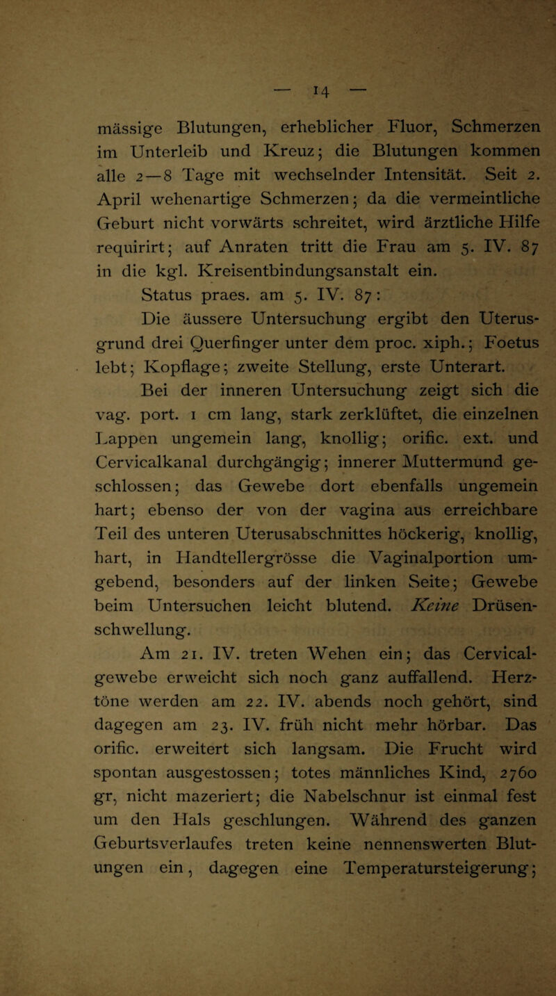mässige Blutungen, erheblicher Fluor, Schmerzen im Unterleib und Kreuz; die Blutungen kommen alle 2 — 8 Tage mit wechselnder Intensität. Seit 2. April wehenartige Schmerzen; da die vermeintliche Geburt nicht vorwärts schreitet, wird ärztliche Hilfe requirirt; auf Anraten tritt die Frau am 5. IV. 87 in die kgl. Kreisentbindungsanstalt ein. Status praes. am 5. IV. 87: Die äussere Untersuchung ergibt den Uterus¬ grund drei Querfinger unter dem proc. xiph.; Foetus lebt; Kopflage; zweite Stellung, erste Unterart. Bei der inneren Untersuchung zeigt sich die vag. port. 1 cm lang, stark zerklüftet, die einzelnen Lappen ungemein lang, knollig; orific. ext. und Cervicalkanal durchgängig; innerer Muttermund ge¬ schlossen ; das Gewebe dort ebenfalls ungemein hart; ebenso der von der vagina aus erreichbare Teil des unteren Uterusabschnittes höckerig, knollig, hart, in Handtellergrösse die Vaginalportion um¬ gebend, besonders auf der linken Seite; Gewebe beim LTntersuchen leicht blutend. Keine Drüsen- schwellung. Am 21. IV. treten Wehen ein; das Cervical- gewebe erweicht sich noch ganz auffallend. Herz¬ töne werden am 22. IV. abends noch gehört, sind dagegen am 23. IV. früh nicht mehr hörbar. Das orific. erweitert sich langsam. Die Frucht wird spontan ausgestossen; totes männliches Kind, 2760 gr, nicht mazeriert; die Nabelschnur ist einmal fest um den Flals geschlungen. Während des ganzen Geburtsverlaufes treten keine nennenswerten Blut¬ ungen ein, dagegen eine Temperatursteigerung;