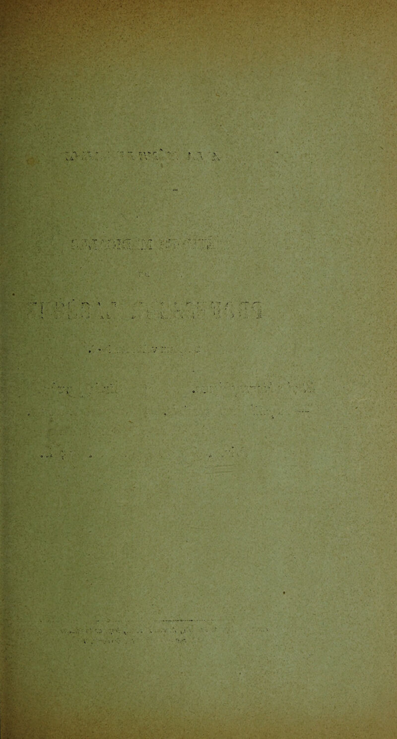 • C- * ■> r-- * ■ \ « ■ - r V • ; IV r,-* * r V V \ * ' ' A O i> (i (.•’ c - <»