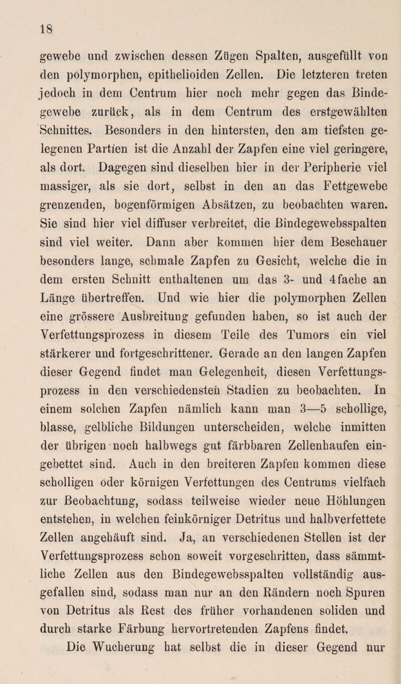 gewebe und zwischen dessen Zügen Spalten, ausgefüllt von den polymorphen, epithelioiden Zellen. Die letzteren treten jedoch in dem Centrum hier noch mehr gegen das Binde¬ gewebe zurück, als in dem Centrum des erstgewählten Schnittes. Besonders in den hintersten, den am tiefsten ge¬ legenen Partien ist die Anzahl der Zapfen eine viel geringere, als dort. Dagegen sind dieselben hier in der Peripherie viel massiger, als sie dort, selbst in den an das Fettgewebe grenzenden, bogenförmigen Absätzen, zu beobachten waren. Sie sind hier viel diffuser verbreitet, die Bindegewebsspalten sind viel weiter. Dann aber kommen hier dem Beschauer besonders lange, schmale Zapfen zu Gesicht, welche die in dem ersten Schnitt enthaltenen um das 3- und 4 fache an Länge übertreffen. Und wie hier die polymorphen Zellen eine grössere Ausbreitung gefunden haben, so ist auch der Verfettungsprozess in diesem Teile des Tumors ein viel stärkerer und fortgeschrittener. Gerade an den langen Zapfen dieser Gegend findet man Gelegenheit, diesen Verfettungs¬ prozess in den verschiedensten Stadien zu beobachten. In einem solchen Zapfen nämlich kann man 3—5 schollige, blasse, gelbliche Bildungen unterscheiden, welche inmitten der übrigen noch halbwegs gut färbbaren Zellenhaufen ein¬ gebettet sind. Auch in den breiteren Zapfen kommen diese scholligen oder körnigen Verfettungen des Centrums vielfach zur Beobachtung, sodass teilweise wieder neue Höhlungen entstehen, in welchen feinkörniger Detritus und halbverfettete Zellen angehäuft sind. Ja, an verschiedenen Stellen ist der Verfettungsprozess schon soweit vorgeschritten, dass sämmt- liche Zellen aus den Bindegewebsspalten vollständig aus¬ gefallen sind, sodass man nur an den Rändern noch Spuren von Detritus als Rest des früher vorhandenen soliden und durch starke Färbung hervortretenden Zapfens findet. Die Wucherung hat selbst die in dieser Gegend nur