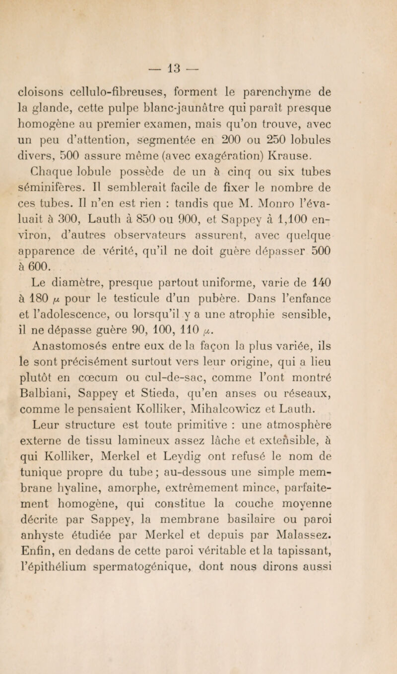 cloisons cellulo-fibreuses, forment le parenchyme de la glande, cette pulpe blanc-jaunâtre qui paraît presque homogène au premier examen, mais qu’on trouve, avec un peu d’attention, segmentée en 200 ou 250 lobules divers, 500 assure même (avec exagération) Krause. Chaque lobule possède de un à cinq ou six tubes séminifères. Il semblerait facile de fixer le nombre de ces tubes. Il n’en est rien : tandis que M. Monro l’éva¬ luait à 300, Lauth à 850 ou 900, et Sappey à 1,100 en¬ viron, d’autres observateurs assurent, avec quelque apparence de vérité, qu’il ne doit guère dépasser 500 à 600. Le diamètre, presque partout uniforme, varie de 140 à 180 /u pour le testicule d’un pubère. Dans l’enfance et l’adolescence, ou lorsqu’il y a une atrophie sensible, il ne dépasse guère 90, 100, 110 ia. Anastomosés entre eux de la façon la plus variée, ils le sont précisément surtout vers leur origine, qui a lieu plutôt en cæcum ou cul-de-sac, comme l’ont montré Balbiani, Sappey et Stieda, qu’en anses ou réseaux, comme le pensaient Kolliker, Mihalcowicz et Lauth. Leur structure est toute primitive : une atmosphère externe de tissu lamineux assez lâche et extensible, à qui Kolliker, Merkel et Leydig ont refusé le nom de tunique propre du tube; au-dessous une simple mem¬ brane hyaline, amorphe, extrêmement mince, parfaite¬ ment homogène, qui constitue la couche moyenne décrite par Sappey, la membrane basilaire ou paroi anhyste étudiée par Merkel et depuis par Malassez. Enfin, en dedans de cette paroi véritable et la tapissant, l’épithélium spermatogénique, dont nous dirons aussi