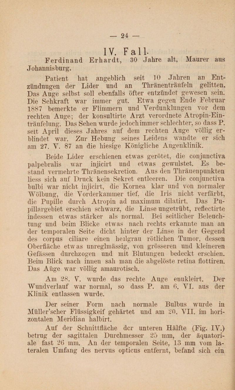 IV. Fall. Ferdinand Erhardt, 30 Jahre alt, Maurer aus Johannis bürg. Patient hat angeblich seit 10 Jahren an Ent¬ zündungen der Lider und an Thränenträufeln gelitten. Das Auge selbst soll ebenfalls öfter entzündet gewesen sein. Die Sehkraft war immer gut. Etwa gegen Ende Februar 1887 bemerkte er Flimmern und Verdunklungen vor dem rechten Auge; der konsultirte Arzt verordnete Atropin-Ein¬ träufelung. Das Sehen wurde jedoch immer schlechter, so dass P. seit April dieses Jahres auf dem rechten Auge völlig er¬ blindet war. Zur Hebung seines Leidens wandte er sich am 27. V. 87 an die hiesige Königliche Augenklinik. Beide Lider erschienen etwas gerötet, die conjunctiva palpebralis war injicirt und etwas gewulstet. Es be¬ stand vermehrte ThränenSekretion. Aus den Thräuenpunkten liess sich auf Druck kein Sekret entleeren. Die conjunctiva bulbi war nicht injicirt, die Kornea klar und von normaler Wölbung, die Vorderkammer tief, die Iris nicht verfärbt, die Pupille durch Atropin ad maximum dilatirt. Das Pu- pillargebiet erschien schwarz, die Linse ungetrübt, reflectirte indessen etwas stärker als normal. Bei seitlicher Beleuch¬ tung und beim Blicke etwas nach rechts erkannte man an der temporalen Seite dicht hinter der Linse in der Gegend des corpus ciliare einen heilgrau rötlichen Tumor, dessen Oberfläche etwas unreglmässig, von grösseren und kleineren Gefässen durchzogen und mit Blutungen bedeckt erschien. Beim Blick nach innen sah man die abgelöste retina flottiren. Das Aüge war völlig amaurotisch. Am 28. V. wurde das rechte Auge enukleirt. Der Wundverlauf war normal, so dass P. am 6. VI. aus der Klinik entlassen wurde. Der seiner Form nach normale Bulbus wurde in Miiller’scher Flüssigkeif gehärtet und am 20. VII. im hori¬ zontalen Meridian halbirt. Auf der Schnittfläche der unteren Hälfte (Fig. IV.) betrug der sagittalen Durchmesser 25 mm, der äquatori¬ ale fast 26 mm. An der temporalen Seite, 13 mm vom la¬ teralen Umfang des nervus opticus entfernt, befand sich ein