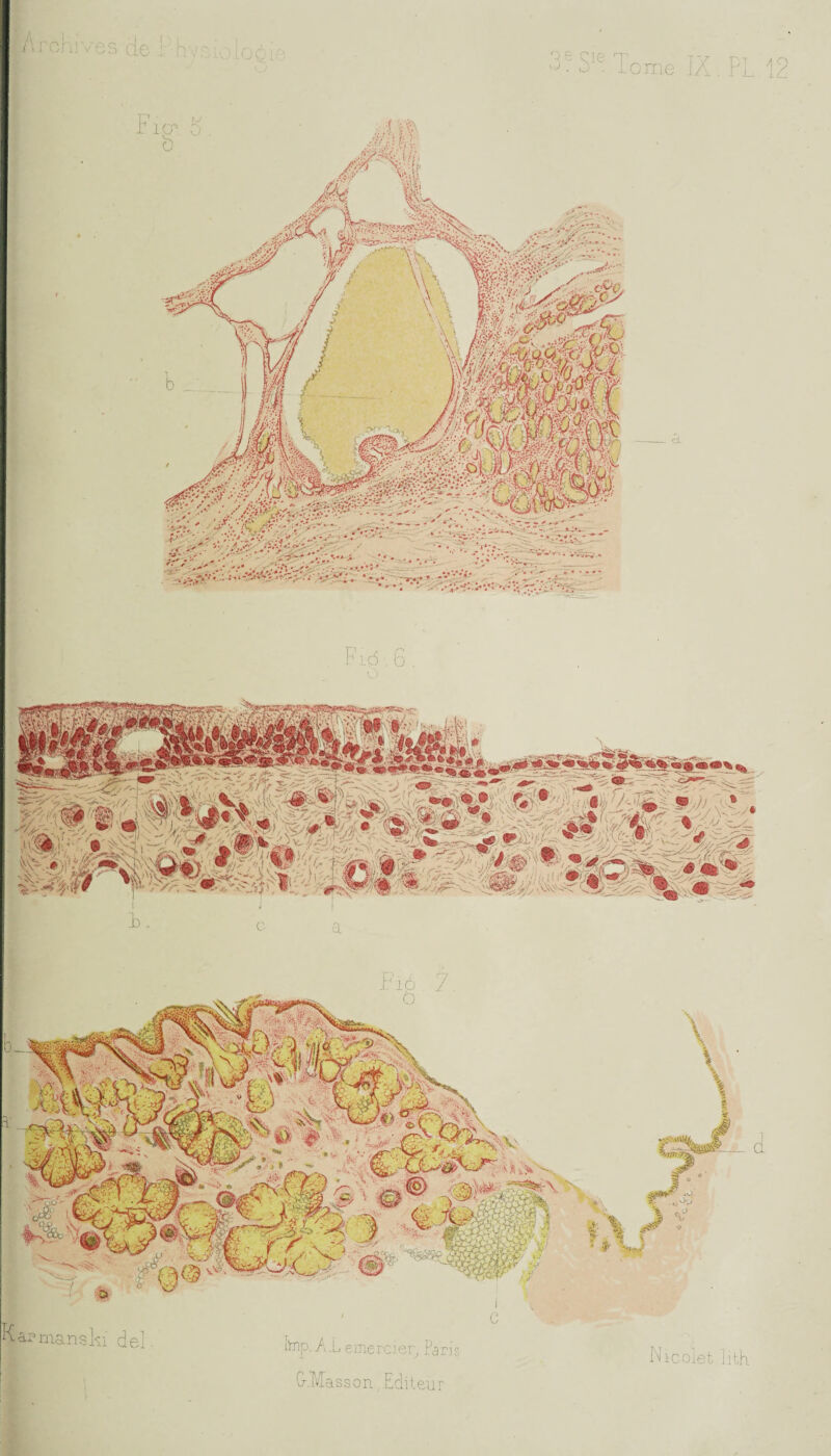 Nicolet lith fcnp- -AL emercier, Pari?, (7,Mass on. Editeur