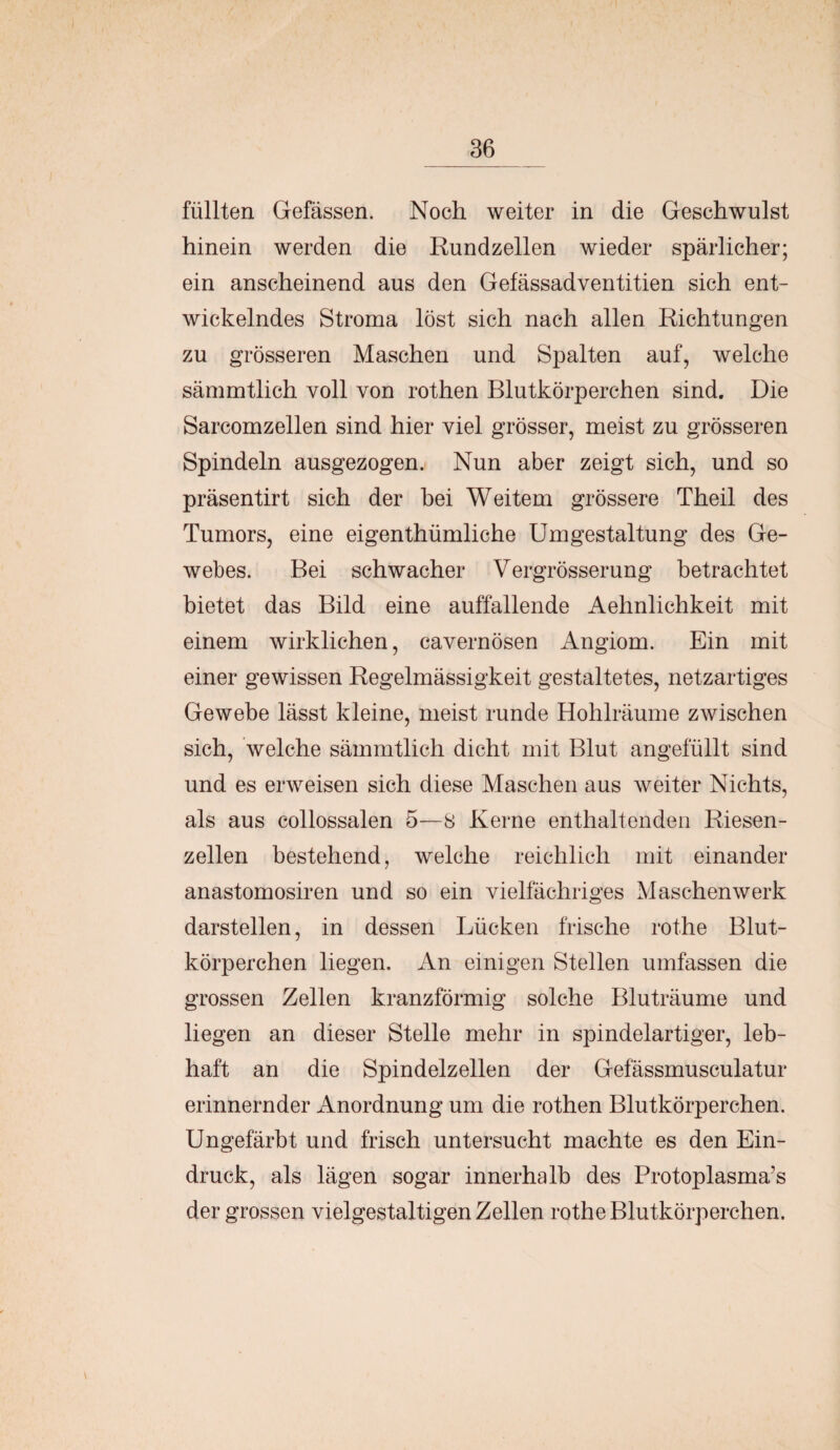 füllten Gefässen. Noch weiter in die Geschwulst hinein werden die Rundzellen wieder spärlicher; ein anscheinend aus den Gefässadventitien sich ent¬ wickelndes Stroma löst sich nach allen Richtungen zu grösseren Maschen und Spalten auf, welche sämmtlich voll von rothen Blutkörperchen sind. Die Sarcomzellen sind hier viel grösser, meist zu grösseren Spindeln ausgezogen. Nun aber zeigt sich, und so präsentirt sich der bei Weitem grössere Theil des Tumors, eine eigenthümliche Umgestaltung des Ge¬ webes. Bei schwacher Vergrösserung betrachtet bietet das Bild eine auffallende Aehnlichkeit mit einem wirklichen, cavernösen Angiom. Ein mit einer gewissen Regelmässigkeit gestaltetes, netzartiges Gewebe lässt kleine, meist runde Hohlräume zwischen sich, welche sämmtlich dicht mit Blut angefüllt sind und es erweisen sich diese Maschen aus weiter Nichts, als aus collossalen 5—8 Kerne enthaltenden Riesen¬ zellen bestehend, welche reichlich mit einander anastomosiren und so ein vielfächriges Maschen werk darstellen, in dessen Lücken frische rothe Blut¬ körperchen liegen. An einigen Stellen umfassen die grossen Zellen kranzförmig solche Bluträume und liegen an dieser Stelle mehr in spindelartiger, leb¬ haft an die Spindelzellen der Gefässmusculatur erinnernder Anordnung um die rothen Blutkörperchen. Ungefärbt und frisch untersucht machte es den Ein¬ druck, als lägen sogar innerhalb des Protoplasma’s der grossen vielgestaltigen Zellen rothe Blutkörperchen.