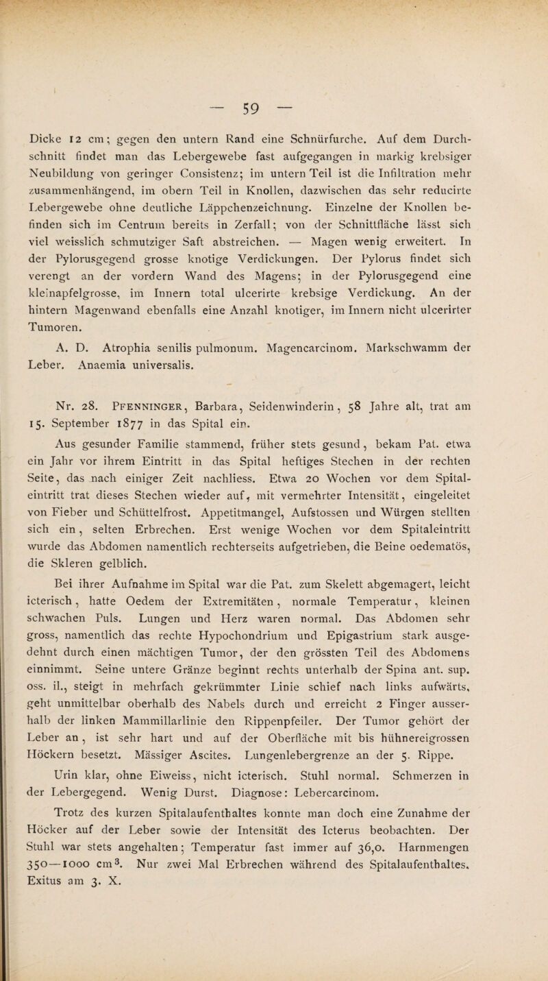 Dicke 12 cm; gegen den untern Rand eine Schnürfurche. Auf dem Durch¬ schnitt findet man das Lebergewebe fast aufgegangen in markig krebsiger Neubildung von geringer Consistenz; im untern Teil ist die Infiltration mehr zusammenhängend, im obern Teil in Knollen, dazwischen das sehr reducirte Lebergewebe ohne deutliche Läppchenzeichnung. Einzelne der Knollen be¬ finden sich im Centrum bereits in Zerfall; von der Schnittfläche lässt sich viel weisslich schmutziger Saft abstreichen. — Magen weDig erweitert. In der Pylorusgegend grosse knotige Verdickungen. Der Pylorus findet sich verengt an der vordem Wand des Magens; in der Pylorusgegend eine kleinapfelgrosse, im Innern total ulcerirte krebsige Verdickung. An der hintern Magenwand ebenfalls eine Anzahl knotiger, im Innern nicht ulcerirter Tumoren. A. D. Atrophia senilis pulmonum. Magencarcinom. Markschwamm der Leber. Anaemia universalis. Nr. 28. Pfenninger, Barbara, Seidenwinderin, 58 Jahre alt, trat am 15. September 1877 in das Spital ein. Aus gesunder Familie stammend, früher stets gesund, bekam Pat. etwa ein Jahr vor ihrem Eintritt in das Spital heftiges Stechen in der rechten Seite, das nach einiger Zeit nachliess. Etwa 20 Wochen vor dem Spital¬ eintritt trat dieses Stechen wieder auf, mit vermehrter Intensität, eingeleitet von Fieber und Schüttelfrost. Appetitmangel, Aufstossen und Würgen stellten sich ein, selten Erbrechen. Erst wenige Wochen vor dem Spitaleintritt wurde das Abdomen namentlich rechterseits aufgetrieben, die Beine oedematös, die Skleren gelblich. Bei ihrer Aufnahme im Spital war die Pat. zum Skelett abgemagert, leicht icterisch, hatte Oedem der Extremitäten, normale Temperatur, kleinen schwachen Puls. Lungen und Herz waren normal. Das Abdomen sehr gross, namentlich das rechte Hypochondrium und Epigastrium stark ausge¬ dehnt durch einen mächtigen Tumor, der den grössten Teil des Abdomens einnimmt. Seine untere Gränze beginnt rechts unterhalb der Spina ant. sup. oss. il., steigt in mehrfach gekrümmter Linie schief nach links aufwärts, geht unmittelbar oberhalb des Nabels durch und erreicht 2 Finger ausser¬ halb der linken Mammillarlinie den Rippenpfeiler. Der Tumor gehört der Leber an, ist sehr hart und auf der Oberfläche mit bis hühnereigrossen Höckern besetzt. Massiger Ascites. Lungenlebergrenze an der 5. Rippe. Urin klar, ohne Eiweiss, nicht icterisch. Stuhl normal. Schmerzen in der Lebergegend. Wenig Durst. Diagnose: Lebercarcinom. Trotz des kurzen Spitalaufentbaltes konnte man doch eine Zunahme der Höcker auf der Leber sowie der Intensität des Icterus beobachten. Der Stuhl war stets angehalten; Temperatur fast immer auf 36,0. Harnmengen 35° —1000 cm3. Nur zwei Mal Erbrechen während des Spitalaufenthaltes. Exitus am 3. X.