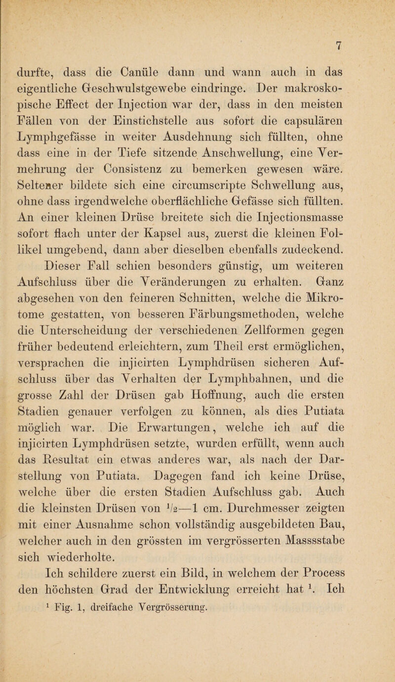 durfte, dass die Canüle dann und wann auch in das eigentliche Geschwulstgewehe eindringe. Der makrosko¬ pische Effect der Injection war der, dass in den meisten Fällen von der Einstichstelle ans sofort die capsnlären Lymphgefässe in weiter Ausdehnung sich füllten, ohne dass eine in der Tiefe sitzende Anschwellung, eine Yer- mehrung der Consistenz zu bemerken gewesen wäre. Seltener bildete sich eine circumscripte Schwellung aus, ohne dass irgendwelche oberflächliche Gefässe sich füllten. An einer kleinen Drüse breitete sich die Injectionsmasse sofort flach unter der Kapsel aus, zuerst die kleinen Fol¬ likel umgebend, dann aber dieselben ebenfalls zudeckend. Dieser Fall schien besonders günstig, um weiteren Aufschluss über die Yeränderungen zu erhalten. Ganz abgesehen von den feineren Schnitten, welche die Mikro¬ tome gestatten, von besseren Färbungsmethoden, welche die Unterscheidung der verschiedenen Zellformen gegen früher bedeutend erleichtern, zum Theil erst ermöglichen, versprachen die injicirten Lymphdrüsen sicheren Auf¬ schluss über das Yerhalten der Lymphbahnen, und die grosse Zahl der Drüsen gab Hoffnung, auch die ersten Stadien genauer verfolgen zu können, als dies Putiata möglich war. Die Erwartungen, welche ich auf die injicirten Lymphdrüsen setzte, wurden erfüllt, wenn auch das Kesultat ein etwas anderes war, als nach der Dar¬ stellung von Putiata. Dagegen fand ich keine Drüse, welche über die ersten Stadien Aufschluss gab. Auch die kleinsten Drüsen von V2—1 cm. Durchmesser zeigten mit einer Ausnahme schon vollständig ausgebildeten Bau, welcher auch in den grössten im vergrösserten Masssstabe sich wiederholte. Ich schildere zuerst ein Bild, in welchem der Process den höchsten Grad der Entwicklung erreicht hat Ich 1 Fig. 1, dreifache Vergrösserimg.