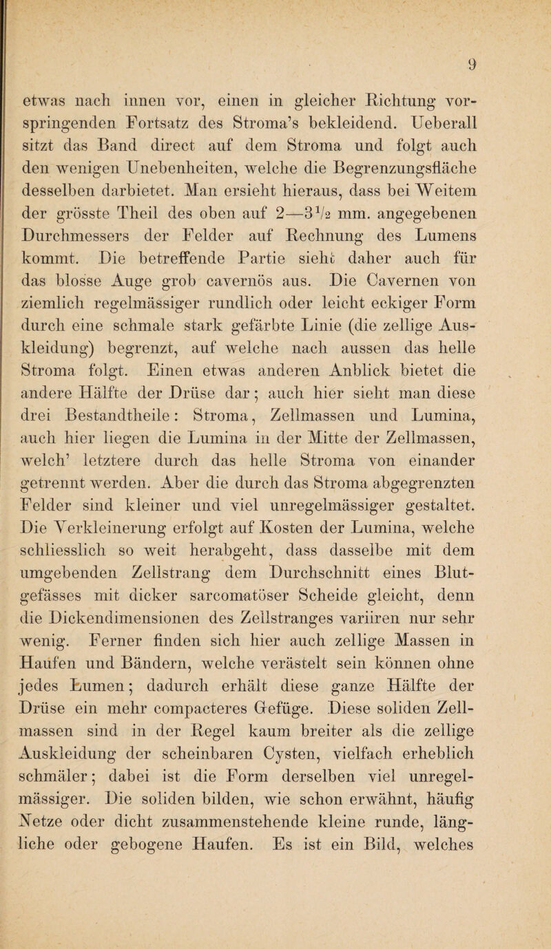 etwas nach innen vor, einen in gleicher Richtung vor¬ springenden Fortsatz des Stroma’s bekleidend. Ueberall sitzt das Band direct auf dem Stroma und folgt auch den wenigen Unebenheiten, welche die Begrenzungsfläche desselben darhietet. Man ersieht hieraus, dass hei Weitem der grösste Theil des oben auf 2—3^2 mm. angegebenen Durchmessers der Felder auf Rechnung des Lumens kommt. Die betreffende Partie siehe daher auch für das blosse Auge grob cavernös aus. Die Gavernen von ziemlich regelmässiger rundlich oder leicht eckiger Form durch eine schmale stark gefärbte Linie (die zellige Aus¬ kleidung) begrenzt, auf welche nach aussen das helle Stroma folgt. Einen etwas anderen Anblick bietet die andere Hälfte der Drüse dar; auch hier sieht man diese drei Bestandtheile: Stroma, Zellmassen und Lumina, auch hier liegen die Lumina in der Mitte der Zellmassen, welch’ letztere durch das helle Stroma von einander getrennt werden. Aber die durch das Stroma abgegrenzten Felder sind kleiner und viel unregelmässiger gestaltet. Die Yerkleinerung erfolgt auf Kosten der Lumina, welche schliesslich so weit herabgeht, dass dasselbe mit dem umgebenden Zellstrang dem Durchschnitt eines Blut¬ gefässes mit dicker sarcomatöser Scheide gleicht, denn die Dickendimensionen des Zellstranges variiren nur sehr wenig. Ferner finden sich hier auch zellige Massen in Haufen und Bändern, welche verästelt sein können ohne jedes Lumen; dadurch erhält diese ganze Hälfte der Drüse ein mehr compacteres Gefüge. Diese soliden Zell¬ massen sind in der Regel kaum breiter als die zellige Auskleidung der scheinbaren Cysten, vielfach erheblich schmäler 5 dabei ist die Form derselben viel unregel¬ mässiger. Die soliden bilden, wie schon erwähnt, häufig Netze oder dicht zusammenstehende kleine runde, läng¬ liche oder gebogene Haufen. Es ist ein Bild, welches