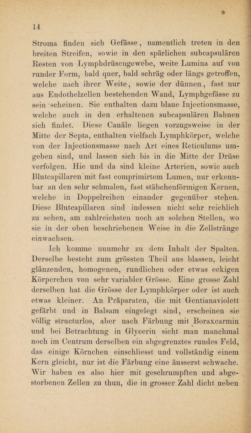 Stroma finden sich Grefässe, nam^entlich treten in den breiten Streifen, sowie in den spärlichen snhcapsnlären Resten von Lymphdrüsengewehe, weite Lnmina auf von runder Form, bald quer, bald schräg oder längs getroffen, welche nach ihrer Weite, sowie der dünnen, fast nur aus Endothelzellen bestehenden Wand, Lymphgefässe zu sein scheinen. Sie enthalten dazu blaue Injectionsmasse, welche auch in den erhaltenen snhcapsnlären Bahnen sich findet. Diese Canäle liegen vorzugsweise in der Mitte der Septa, enthalten vielfach Lymphkörper, welche von der Injectionsmasse nach Art eines Reticulnms um¬ geben sind, und lassen sich bis in die Mitte der Drüse verfolgen. Hie und da sind kleine Arterien, sowie auch Blntcapillaren mit fast comprimirtem Lumen, nur erkenn¬ bar an den sehr schmalen, fast stäbchenförmigen Kernen, welche in Doppelreihen einander gegenüber stehen. Diese Blntcapillaren sind indessen nicht sehr reichlich zu sehen, am zahlreichsten noch an solchen Stellen, wo sie in der oben beschriebenen Weise in die Zellstränge einwachsen. Ich komme nunmehr zu dem Inhalt der Spalten. Derselbe besteht znm grössten Theil aus blassen, leicht glänzenden, homogenen, rundlichen oder etwas eckigen Körperchen von sehr variabler Grösse. Eine grosse Zahl derselben hat die Grösse der Lymphkörper oder ist auch etwas kleiner. An Präparaten, die mit Gentianaviolett gefärbt und in Balsam eingelegt sind, erscheinen sie völlig strnctnrlos, aber nach Färbung mit Boraxcarmin und bei Betrachtung in Glycerin sieht man manchmal noch im Centrum derselben ein abgegrenztes rundes Feld, das einige Körnchen einschliesst und vollständig einem Kern gleicht, nur ist die Färbung eine äusserst schwache. Wir haben es also hier mit geschrumpften und abge¬ storbenen Zellen zu thun, die in grosser Zahl dicht neben