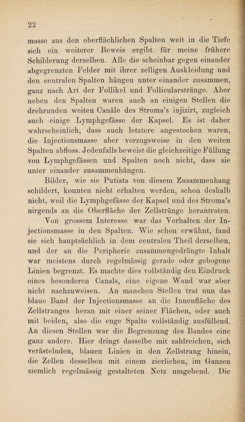 masse aus den oberflächlichen Spalten weit in die Tiefe sich ein weiterer Beweis ergibt für meine frühere Schilderung derselben. Alle die scheinbar gegen einander abgegrenzten Felder mit ihrer zeitigen Auskleidung und den centralen Spalten hängen unter einander zusammen, ganz nach Art der Follikel und Follicularstränge. Aber neben den Spalten waren auch an einigen Stellen die drehrunden weiten Canäle des Stroma’s injizirt, zugleich auch einige Lymphgefässe der Kapsel. Es ist daher wahrscheinlich, dass auch letztere angestochen waren, die Injectionsmasse aber vorzugsweise in den weiten Spalten abfloss. Jedenfalls beweist die gleichzeitige Füllung von Lymphgefässen und Spalten noch nicht, dass sie unter einander Zusammenhängen. Bilder, wie sie Putiata von diesem Zusammenhang schildert, konnten nicht erhalten werden, schon deshalb nicht, weil die Lymphgefässe der Kapsel und des Stroma’s nirgends an die Oberfläche der Zellstränge herantraten. Yon grossem Interesse war das Yerhalten der In¬ jectionsmasse in den Spalten. Wie schon erwähnt, fand sie sich hauptsächlich in dem centralen Theil derselben, und der an die Peripherie zusammengedrängte Inhalt war meistens durch regelmässig gerade oder gebogene Linien begrenzt. Es machte dies vollständig den Eindruck eines besonderen Canals, eine eigene Wand war aber nicht nachzuweisen. An manchen Stellen trat nun das blaue Band der Injectionsmasse an die Innenfläche des Zellstranges heran mit einer seiner Flächen, oder auch mit beiden, also die enge Spalte vollständig ausfüllend. An diesen Stellen war die Begrenzung des Bandes eine ganz andere. Hier dringt dasselbe mit zahlreichen, sich verästelnden, blauen Linien in den Zellstrang hinein, die Zellen desselben mit einem zierlichen, im Glanzen ziemlich regelmässig gestalteten Ketz umgebend. Die