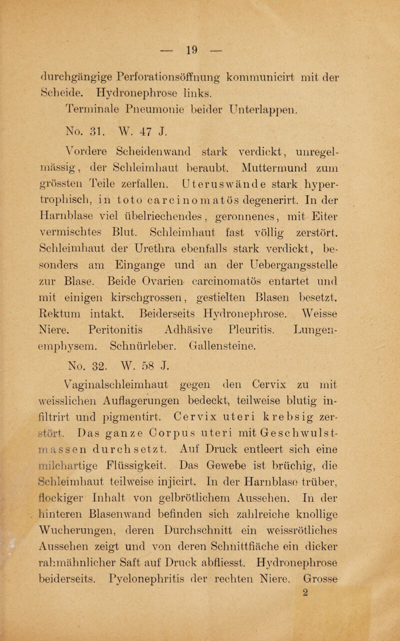 durchgängige Perforationsöffnung kommunicirt mit der Scheide. Hydronephrose links. Terminale Pneumonie beider Unterlappen. No. 31. W. 47 J. / Vordere Scheiden wand stark verdickt, unregel¬ mässig , der Schleimhaut beraubt. Muttermund zum grössten Teile zerfallen. Uterus wände stark hyper¬ trophisch, in toto carcinomatös degenerirt. Inder Harnblase viel übelriechendes, geronnenes, mit Eiter vermischtes Blut. Schleimhaut fast völlig zerstört. Schleimhaut der Urethra ebenfalls stark verdickt, be¬ sonders am Eingänge und an der Uebergangsstelle zur Blase. Beide Ovarien carcinomatös entartet und mit einigen kirschgrossen, gestielten Blasen besetzt. Rektum intakt. Beiderseits Hydronephrose. Weisse Niere. Peritonitis Adhäsive Pleuritis. Lungen¬ emphysem. Schnürleber. Gallensteine. No. 32. W. 58 J. Vaginalschleimhaut gegen den Cervix zu mit weissiiclien Auflagerungen bedeckt, teilweise blutig in- filtrirt und pigmentirt. Cervix uteri krebsig zer¬ stört. Das ganze Corpus uteri mit Geschwulst¬ masse n durchsetzt. Auf Druck entleert sich eine milchartige Flüssigkeit. Das Gewebe ist brüchig, die Schleimhaut teilweise injicirt. In der Harnblase trüber, flockiger Inhalt von gelbrötlichem Aussehen. In der hinteren Blasenwand befinden sich zahlreiche knollige Wucherungen, deren Durchschnitt ein weissrötliches Aussehen zeigt und von deren Schnittfläche ein dicker rahmähnlicher Saft auf Druck abfliesst. Hydronephrose beiderseits. Pyelonephritis der rechten Niere. Grosse 2