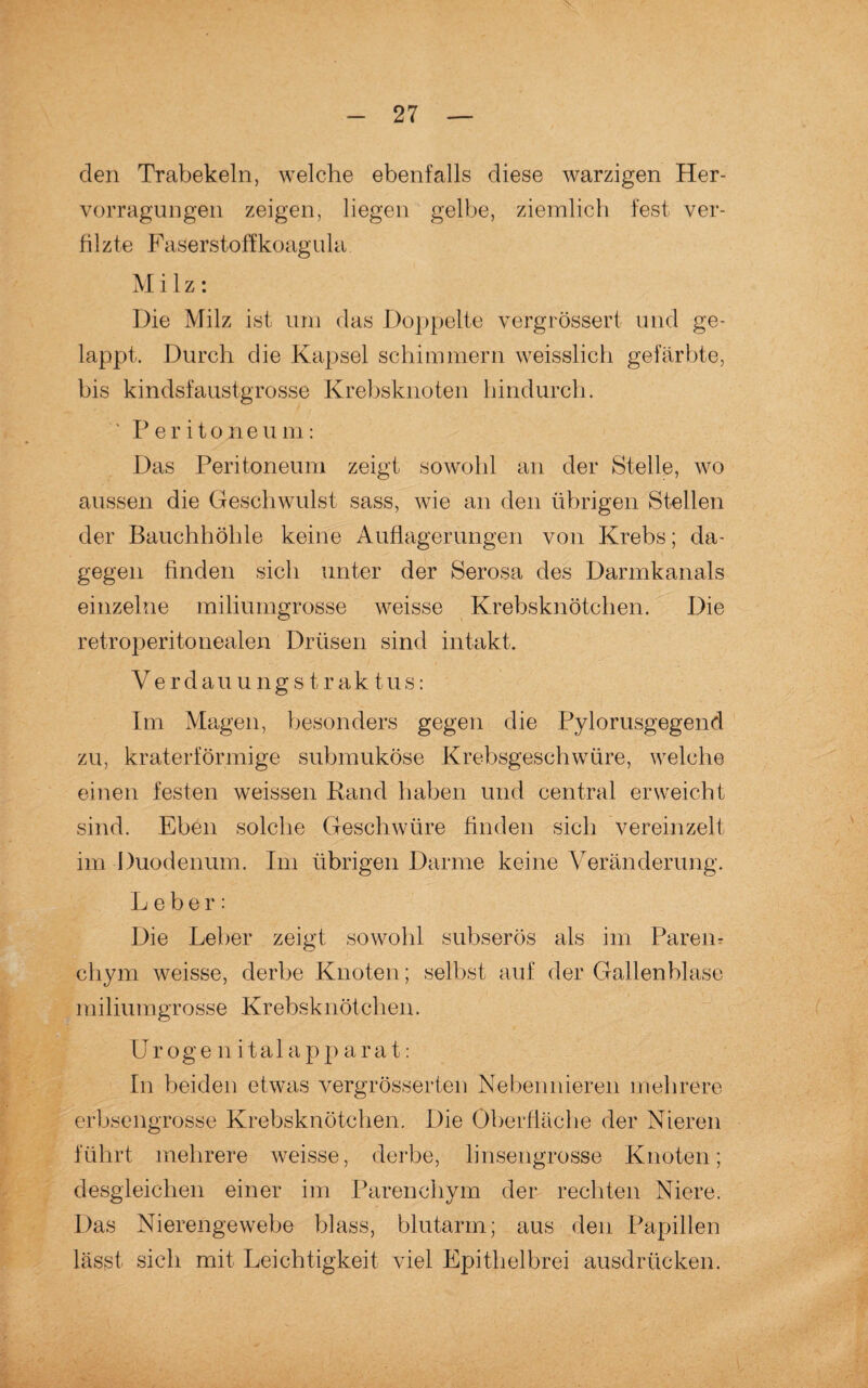 den Trabekeln, welche ebenfalls diese warzigen Her- vorragungen zeigen, liegen gelbe, ziemlich fest ver¬ filzte F aserstoffkoagula Milz: Die Milz ist um das Doppelte vergrössert und ge¬ lappt. Durch die Kapsel schimmern weisslich gefärbte, bis kindsfaustgrosse Krebsknoten hindurch. 1 Peritoneum: Das Peritoneum zeigt sowohl an der Stelle, wo aussen die Geschwulst sass, wie an den übrigen Stellen der Bauchhöhle keine Auflagerungen von Krebs; da¬ gegen finden sicli unter der Serosa des Darmkanals einzelne miliumgrosse weisse Krebsknötchen. Die retroperitonealen Drüsen sind intakt. V e r d a u ung s t r a k t u s: Im Magen, besonders gegen die Pylorusgegend zu, kraterförmige submuköse Krebsgeschwüre, welche einen festen weissen Rand haben und central erweicht sind. Eben solche Geschwüre finden sich vereinzelt im Duodenum. Im übrigen Darme keine Veränderung. Leber: Die Leber zeigt sowohl subserös als im Parem chym weisse, derbe Knoten; selbst auf der Gallenblase miliumgrosse Krebsknötchen. Ur og e n i tal a p p a r a t: In beiden etwas vergrößerten Nebennieren mehrere erbsengrosse Krebsknötchen. Die Oberfläche der Nieren führt mehrere weisse, derbe, linsengrosse Knoten; desgleichen einer im Parenchym der rechten Niere. Das Nierengewebe blass, blutarm; aus den Papillen lässt sich mit Leichtigkeit viel Epithelbrei ausdrücken.