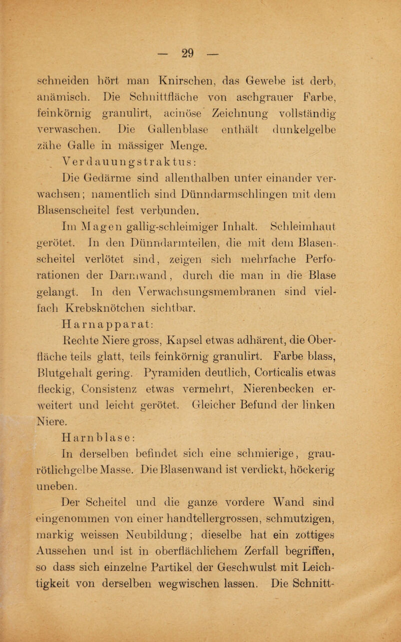 schneiden hört man Knirschen, das Ge wehe ist derb, anämisch. Die Schnittfläche von aschgrauer Farbe, feinkörnig granulirt, acinöse Zeichnung vollständig verwaschen. Die Gallenblase enthält dunkelgelbe zähe Galle in massiger Menge. V e r d a u ungstraktus: Die Gedärme sind allenthalben unter einander ver¬ wachsen ; namentlich sind Dünndarmschlingen mit dem Blasenscheitel fest verbunden. Im Magen gallig-schleimiger Inhalt. Schleimhaut gerötet. In den Dünndarmteilen, die mit dem Blasen-. Scheitel verlötet sind, zeigen sich mehrfache Perfo¬ rationen der Darmwand , durch die man in die Blase gelangt. In den Verwachsungsmembranen sind viel¬ fach Krebsknötchen sichtbar. Harnapparat: Rechte Niere gross, Kapsel etwas adhärent, die Ober¬ fläche teils glatt, teils feinkörnig granulirt. Farbe blass, Blutgehalt gering. Pyramiden deutlich, Corticalis etwas fleckig, Consistenz etwas vermehrt, Nierenbecken er¬ weitert und leicht gerötet. Gleicher Befund der linken Niere. Harnblase: In derselben befindet sich eine schmierige, grau- rötlichgelbe Masse. Die Blasen wand ist verdickt, höckerig- uneben. Der Scheitel und die ganze vordere Wand sind eingenommen von einer handtellergrossen, schmutzigen, markig weissen Neubildung; dieselbe hat ein zottiges Aussehen und ist in oberflächlichem Zerfall begriffen, so dass sich einzelne Partikel der Geschwulst mit Leich¬ tigkeit von derselben wegwischen lassen. Die Schnitt-