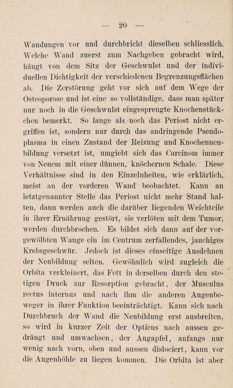 Wandungen vor und durchbricht dieselben schliesslich. Welche Wand zuerst zum Nachgeben gebracht wird, hängt von dem Sitz der Geschwulst und der indivi- duellen Dichtigkeit der verschiedenen Begrenzungsflächen ab. Die Zerstörung geht vor sich auf dem Wege der Osteoporose und ist eine so vollständige, dass man später nur noch in die Geschwulst eingesprengte Knochenstück¬ chen bemerkt. So lange als noch das Periost nicht er¬ griffen ist, sondern nur durch das andringende Pseudo¬ plasma in einen Zustand der Reizung und Knochenneu¬ bildung versetzt ist, umgiebt sich das Carcinom immer von Neuem mit einer dünnen, knöchernen Schale. Diese Verhältnisse sind in den Einzelnheiten, wie erklärlich, meist an der vorderen Wand beobachtet. Kann an letztgenannter Stelle das Periost nicht mehr Stand hal¬ ten, dann werden auch die darüber liegenden Weichteile in ihrer Ernährung gestört, sie verlöten mit dem Tumor, werden durchbrochen. Es bildet sich dann auf der vor¬ gewölbten Wange ein im Centrum zerfallendes, jauchiges Krebsgeschwür. Jedoch ist dieses einseitige Ausdehnen der Neubildung selten. Gewöhnlich wird zugleich die Orbita verkleinert, das Fett in derselben durch den ste¬ tigen Druck zur Resorption gebracht, der Musculus rectus internus und nach ihm die anderen Augenbe¬ weger in ihrer Funktion beeinträchtigt. Kann sich nach Durchbruch der Wand die Neubildung erst ausbreiten, so wird in kurzer Zeit der Opticus nach aussen ge¬ drängt und umwachsen, der Augapfel, anfangs nur wenig nach vorn, oben und aussen dislociert, kann vor die Augenhöhle zu liegen kommen. Die Orbita ist aber