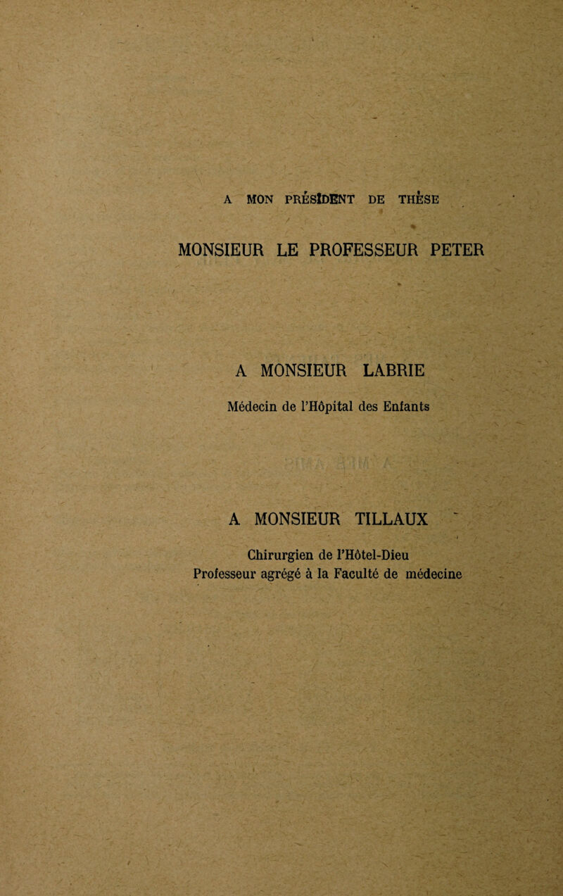 A MON PRÉSIDENT DE THESE •1 v y / / ‘ Ÿ ~ ; y N % MONSIEUR LE PROFESSEUR PETER A MONSIEUR LABRIE Médecin de l’Hôpital des Entants A MONSIEUR TILLAUX » Chirurgien de PHôtel-Dieu Professeur agrégé à la Faculté de médecine