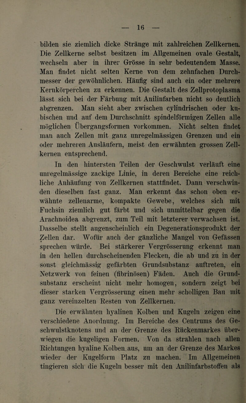 bilden sie ziemlich dicke Stränge mit zahlreichen Zellkernen. Die Zellkerne selbst besitzen im Allgemeinen ovale Gestalt, wechseln aber in ihrer Grösse in sehr bedeutendem Masse. Man findet nicht selten Kerne von dem zehnfachen Durch¬ messer der gewöhnlichen. Häufig sind auch ein oder mehrere Kernkörperchen zu erkennen. Die Gestalt des Zellprotoplasma lässt sich bei der Färbung mit Anilinfarben nicht so deutlich abgrenzen. Man sieht aber zwischen cylindrischen oder ku¬ bischen und auf dem Durchschnitt spindelförmigen Zellen alle • • möglichen Uber gangsformen Vorkommen. Nicht selten findet man auch Zellen mit ganz unregelmässigen Grenzen und ein oder mehreren Ausläufern, meist den erwähnten grossen Zell¬ kernen entsprechend. In den hintersten Teilen der Geschwulst verläuft eine unregelmässige zackige Linie, in deren Bereiche eine reich¬ liche Anhäufung von Zellkernen stattfindet. Dann verschwin¬ den dieselben fast ganz. Man erkennt das schon oben er¬ wähnte zellenarme, kompakte Gewebe, welches sich mit Fuchsin ziemlich gut färbt und sich unmittelbar gegen die Arachnoidea abgrenzt, zum Teil mit letzterer verwachsen ist. Dasselbe stellt augenscheinlich ein Degenerationsprodukt der Zellen dar. Wofür auch der gänzliche Mangel von Gefässen sprechen würde. Bei stärkerer Vergrösserung erkennt man in den hellen durchscheinenden Flecken, die ab und zu in der sonst gleichmässig gefärbten Grundsubstanz auftreten, ein Netzwerk von feinen (fibrinösen) Fäden. Auch die Grund¬ substanz erscheint nicht mehr homogen, sondern zeigt bei dieser starken Vergrösserung einen mehr scholligen Bau mit ganz vereinzelten Resten von Zellkernen. Die erwähnten hyalinen Kolben und Kugeln zeigen eine verschiedene Anordnung. Im Bereiche des Centrums des Ge¬ schwulstknotens und an der Grenze des Rückenmarkes über- wiegen die kugeligen Formen. Von da strahlen nach allen Richtungen hyaline Kolben aus, um an der Grenze des Markes wieder der Kugelform Platz zu machen. Im Allgemeinen tingieren sich die Kugeln besser mit den Anilinfarbstoffen als