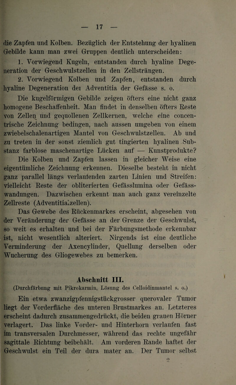 die Zapfen und Kolben. Bezüglich der Entstehung der hyalinen Gebilde kann man zwei Gruppen deutlich unterscheiden: 1. Vorwiegend Kugeln, entstanden durch hyaline Dege¬ neration der Geschwulstzellen in den Zellsträngen. 2. Vorwiegend Kolben und Zapfen, entstanden durch hyaline Degeneration dei Adventitia der Gefässe s. o. Die kugelförmigen Gebilde zeigen öfters eine nicht ganz homogene Beschaffenheit. Man findet in denselben öfters Reste von Zellen und gequollenen Zellkernen, welche eine concen- trische Zeichnung bedingen, nach aussen umgeben von einem zwiebelschalenartigen Mantel von Geschwulstzellen. Ab und zu treten in der sonst ziemlich gut tingierten hyalinen Sub¬ stanz farblose maschenartige Lücken auf — Kunstprodukte? Die Kolben und Zapfen lassen in gleicher Weise eine eigentümliche Zeichnung erkennen. Dieselbe besteht in nicht ganz parallel längs verlaufenden zarten Linien und Streifen: vielleicht Reste der obliterierten Gefässlumina oder Gefäss- wandungen. Dazwischen erkennt man auch ganz vereinzelte Zellreste (Adventitialzellen). Das Gewebe des Rückenmarkes erscheint, abgesehen von der Veränderung der Gefässe an der Grenze der Geschwulst, so weit es erhalten und bei der Färbungsmethode erkennbar ist, nicht wesentlich alteriert. Nirgends ist eine deutliche Verminderung der Axencylinder, Quellung derselben oder Wucherung des Gliogewebes zu bemerken. Abschnitt III. (Durchfärbung mit Pikrokarmin, Lösung des Celloidinmantel s. o.) Ein etwa zwanzigpfennigstückgrosser querovaler Tumor liegt der Vorderfläche des unteren Brustmarkes an. Letzteres erscheint dadurch zusammengedrückt, die beiden grauen Hörner verlagert. Das linke Vorder- und Hinterhorn verlaufen fast im transversalen Durchmesser, während das rechte ungefähr sagittale Richtung beibehält. Am vorderen Rande haftet der Geschwulst ein Teil der dura mater an. Der Tumor selbst o