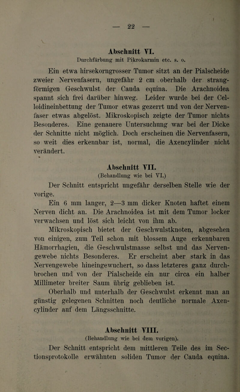 I Abschnitt VI. Durchfärbung mit Pikrokarmin etc. s. o. Ein etwa hirsekorngrosser Tumor sitzt an der Pialscheide zweier Nervenfasern, ungefähr 2 cm oberhalb der strang¬ förmigen Geschwulst der Cauda equina. Die Arachnoidea spannt sich frei darüber hinweg. Leider wurde bei der Cel- loidineinbettung der Tumor etwas gezerrt und von der Nerven¬ faser etwas abgelöst. Mikroskopisch zeigte der Tumor nichts Besonderes. Eine genauere Untersuchung war bei der Dicke der Schnitte nicht möglich. Doch erscheinen die Nervenfasern, so weit dies erkennbar ist, normal, die Axencylinder nicht verändert. Abschnitt VII. (Behandlung wie bei VI.) Der Schnitt entspricht ungefähr derselben Stelle wie der vorige. Ein 6 mm langer, 2—3 mm dicker Knoten haftet einem Nerven dicht an. Die Arachnoidea ist mit dem Tumor locker verwachsen und löst sich leicht von ihm ab. Mikroskopisch bietet der Geschwulstknoten, abgesehen von einigen, zum Teil schon mit blossem Auge erkennbaren Hämorrhagien, die Geschwulstmasse selbst und das Nerven¬ gewebe nichts Besonderes. Er erscheint aber stark in das Nervengewebe hineingewuchert, so dass letzteres ganz durch¬ brochen und von der Pialscheide ein nur circa ein halber Millimeter breiter Saum übrig geblieben ist. Oberhalb und unterhalb der Geschwulst erkennt man an günstig gelegenen Schnitten noch deutliche normale Axen¬ cylinder auf dem Längsschnitte. Abschnitt VIII. (Behandlung wie bei dem vorigen). Der Schnitt entspricht dem mittleren Teile des im Sec- tionsprotokolle erwähnten soliden Tumor der Cauda equina.