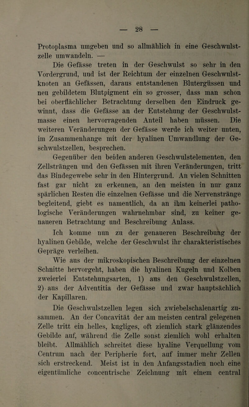 Protoplasma umgeben und so allmählich in eine Geschwulst¬ zelle umwandeln. — Die Gefässe treten in der Geschwulst so sehr in den Vordergrund, und ist der Reichtum der einzelnen Geschwulst¬ knoten an Gefässen, daraus entstandenen Blutergüssen und neu gebildetem Blutpigment ein so grosser, dass man schon bei oberflächlicher Betrachtung derselben den Eindruck ge¬ winnt, dass die Gefässe an der Entstehung der Geschwulst¬ masse einen hervorragenden Anteil haben müssen. Die weiteren Veränderungen der Gefässe werde ich weiter unten, im Zusammenhänge mit der hyalinen Umwandlung der Ge¬ schwulstzellen, besprechen. Gegenüber den beiden anderen Geschwulstelementen, den Zellsträngen und den Gefässen mit ihren Veränderungen, tritt das Bindegewebe sehr in den Hintergrund. An vielen Schnitten fast gar nicht zu erkennen, an den meisten in nur ganz spärlichen Resten die einzelnen Gefässe und die Nervenstränge begleitend, giebt es namentlich, da an ihm keinerlei patho¬ logische Veränderungen wahrnehmbar sind, zu keiner ge¬ naueren Betrachtung und Beschreibung Anlass. Ich komme nun zu der genaueren Beschreibung der hyalinen Gebilde, welche der Geschwulst ihr charakteristisches Gepräge verleihen. Wie aus der mikroskopischen Beschreibung der einzelnen Schnitte hervorgeht, haben die hyalinen Kugeln und Kolben zweierlei Entstehungsarten, 1) aus den Geschwulstzellen, 2) • aus der Adventitia der Gefässe und zwar hauptsächlich der Kapillaren. Die Geschwulstzellen legen sich zwiebelschalenartig zu¬ sammen. An der Concavität der am meisten central gelegenen Zelle tritt ein helles, kugliges, oft ziemlich stark glänzendes Gebilde auf, während die Zelle sonst ziemlich wohl erhalten bleibt. Allmählich schreitet diese hyaline Verquellung vom Centrum nach der Peripherie fort, auf immer mehr Zellen sich erstreckend. Meist ist in den Anfangsstadien noch eine eigentümliche concentrische Zeichnung mit einem central