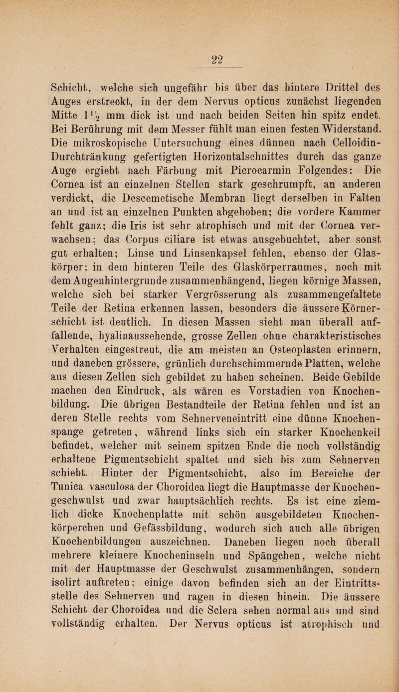 Schicht, welche sich ungefähr bis über das hintere Drittel des Auges erstreckt, in der dem Nervus opticus zunächst liegenden Mitte 1 V2 mm dick ist und nach beiden Seiten hin spitz endet. Bei Berührung mit dem Messer fühlt man einen festen Widerstand. Die mikroskopische Untersuchung eines dünnen nach Celloidin- Durchtränkung gefertigten Horizontalschnittes durch das ganze Auge ergiebt nach Färbung mit Picrocarmin Folgendes: Die Cornea ist an einzelnen Stellen stark geschrumpft, an anderen verdickt, die Descemetische Membran liegt derselben in Falten an und ist an einzelnen Punkten abgehoben; die vordere Kammer fehlt ganz; die Iris ist sehr atrophisch und mit der Cornea ver¬ wachsen; das Corpus ciliare ist etwas ansgebuchtet, aber sonst gut erhalten; Linse und Linsenkapsel fehlen, ebenso der Glas¬ körper; in dem hinteren Teile des Glaskörperraumes, noch mit dem Aiigenhintergrunde zusammenhängend, liegen körnige Massen, welche sich bei starker Vergrösserung als ziisammengefaltete Teile der Ketina erkennen lassen, besonders die äussere Körner¬ schicht ist deutlich. In diesen Massen sieht man überall auf¬ fallende, hyalinaiissehende, grosse Zellen ohne charakteristisches Verhalten eingestreut, die am meisten an Osteoplasten erinnern, und daneben grössere, grünlich durchschimmernde Platten, welche aus diesen Zellen sich gebildet zu haben scheinen. Beide Gebilde machen den Eindruck, als wären es Yorstadien von Knochen¬ bildung. Die übrigen Bestandteile der Ketina fehlen und ist an deren Stelle rechts vom Sehnerveneintritt eine dünne Knochen¬ spange getreten, während links sich ein starker Knochenkeil befindet, welcher mit seinem spitzen Ende die noch vollständig erhaltene Pigmentschicht spaltet und sich bis zum Sehnerven schiebt. Hinter der Pigmentschicht, also im Bereiche der Tunica vasculosa der Choroidea liegt die Hauptmasse der Knochen¬ geschwulst und zwar hauptsächlich rechts. Es ist eine ziem¬ lich dicke Knochenplatte mit schön ausgebildeten Knochen¬ körperchen und Gefässbildung, wodurch sich auch alle übrigen Knochenbildungen auszeichnen. Daneben liegen noch überall mehrere kleinere Knocheninseln und Spängchen, welche nicht mit der Hauptmasse der Geschwulst Zusammenhängen, sondern isolirt auftreten; einige davon befinden sich an der Eintritts¬ stelle des Sehnerven und ragen in diesen hinein. Die äussere Schicht der Choroidea und die Sclera sehen normal aus und sind vollständig erhalten. Der Nervus opticus ist atrophisch und