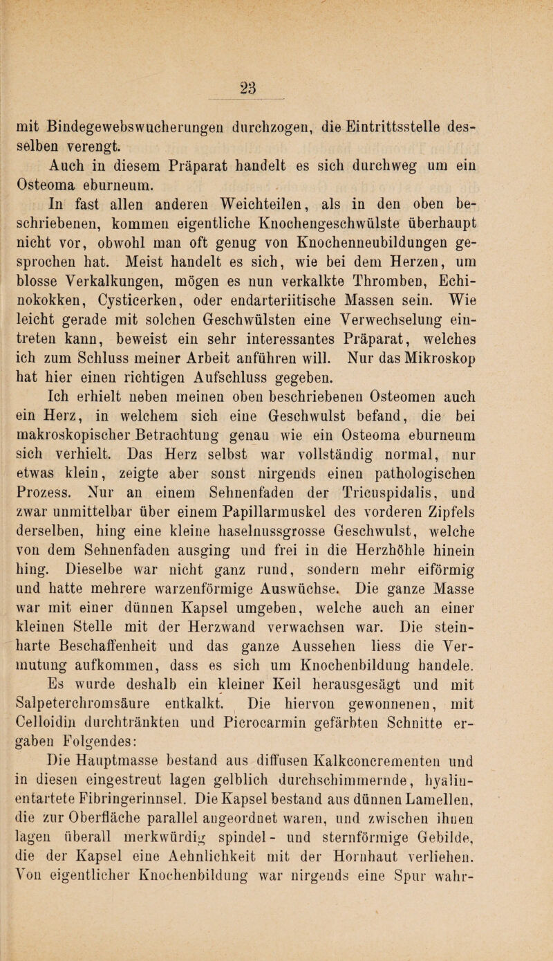mit Biüdegewebswucherting'en durchzogen, die Eintrittsstelle des¬ selben verengt. Auch in diesem Präparat handelt es sich durchweg um ein Osteoma eburneum. In fast allen anderen Weichteilen, als in den oben be¬ schriebenen, kommen eigentliche Knochengeschwülste überhaupt nicht vor, obwohl man oft genug von Knochenneubildungen ge¬ sprochen hat. Meist handelt es sich, wie bei dem Herzen, um blosse Verkalkungen, mögen es nun verkalkte Thromben, Echi¬ nokokken, Cysticerken, oder endarteriitische Massen sein. Wie leicht gerade mit solchen Geschwülsten eine Verwechselung ein- treten kann, beweist ein sehr interessantes Präparat, welches ich zum Schluss meiner Arbeit anführen will. Nur das Mikroskop hat hier einen richtigen Aufschluss gegeben. Ich erhielt neben meinen oben beschriebenen Osteomen auch ein Herz, in welchem sich eine Geschwulst befand, die bei makroskopischer Betrachtung genau wie ein Osteoma eburneum sich verhielt. Das Herz selbst war vollständig normal, nur etwas klein, zeigte aber sonst nirgends einen pathologischen Prozess. Nur an einem Sehnenfaden der Tricuspidalis, und zwar unmittelbar über einem Papillarmuskel des vorderen Zipfels derselben, hing eine kleine haselnussgrosse Geschwulst, welche von dem Sehnenfaden ausging und frei in die Herzhöhle hinein hing. Dieselbe war nicht ganz rund, sondern mehr eiförmig und hatte mehrere warzenförmige Auswüchse. Die ganze Masse war mit einer dünnen Kapsel umgeben, welche auch an einer kleinen Stelle mit der Herzwand verwachsen war. Die stein¬ harte Beschaffenheit und das ganze Aussehen Hess die Ver¬ mutung aufkommen, dass es sich um Knochenbildung handele. Es wurde deshalb ein kleiner Keil herausgesägt und mit Salpeterchromsäure entkalkt. Die hiervon gewonnenen, mit Celloidin durchtränkten und Picrocarmin gefärbten Schnitte er¬ gaben Folgendes: Die Hauptmasse bestand aus diffusen Kalkconcrementen und in diesen eingestreut lagen gelblich durchschimmernde, h3^a]iu- entartete Fibringerinnsel. Die Kapsel bestand aus dünnen Lamellen, die zur Oberfläche parallel angeordnet waren, und zwischen ihnen lagen überall merkwürdig spindel- und sternförmige Gebilde, die der Kapsel eine Aehnlichkeit mit der Hornhaut verliehen. Von eigentlicher Knochenbildung war nirgends eine Spur wahr-