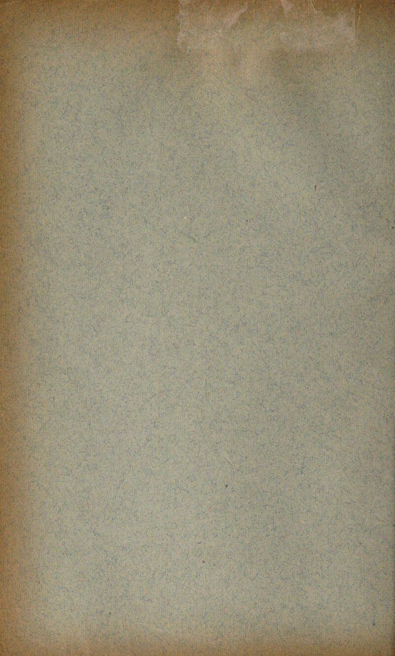 :.V ''•»•>». ■■ :C-:' T^/' -■■'■. r' V'f'rftv'i-' ' 'SÄ ;■ l?'YYY:t75:YYiy7Y^'^S'Y#y^^ lifei-liiliS ‘^l:.}\-'<-^‘ji}-,:';,j\r-^ -yZl’- .si ^S-SÄrÄ! '^SÄÄ'SS3S?fete'>«{ÄÄ*W5 Y‘:YY^7^ 7fYi:Y;Y^ piiiiiiiiSYl •V'- ^,.'i'a:‘m'''\:'^'ä.? #r.-.7( jf V-cr-r'^'‘■’ ^w, 'SSÄr'ÄyÄ^.V->?>>;> ;/• ■'riy«.-T'4,ÄtÄv ' ^.44;'4, Cäm.'-V 'V S.'=fr-,S--. SA /-.-.MO, - M-vs '-- ■'.’ Äil.s - ''Iv > /* •?•'• • •sK/ , < ,t4 vj > J, ^'-' • 17 , 4 ’^tf ' ‘l )J ^ ^ ^ i 1 ,7 ( Ä [ ;v>;r4,,iffv,-r‘-;\4»r-'-;A' c v-':^4’'i'''V4 4s/'' r/'t-v-,*'-;: Y'^y ; vv::7Y-7w?> vyvyYr 7, •'-''' ^ \>'’x'''- Y 7' '' 'y' Y^’'Yy;7 ’ 'S - ''4'- ^ 'S- y. J' T , V s7>4 44 '744s''x447''i7i! ,7 7 4/'v'44y 4-\' 4- >./yrYir/..y,^:-^3^4.4\4i ■a.jalv:- . ■•■(.,>*■<■ 'S'.AVi't A ?'SK ■ ra’i ■*k5;''-Kl»Ai;,Ä-Ä' ,'j4‘,,- |M. äk''sJ ',;, S'-44, ■*■. ,'- ,i AV.-A ^ ' 'i'4, SÄf-CA'-iS-Ä •J,,>Ä..-a5 .1 V4'4- 1. 4'j VY^YT Ir ^ M ' .\ ) -J ■'l r 4 ?> 3 's ; ' }/ 7>V- i ’ »- 4 £•>«.-' , r * ‘ •■'“s''>,,S ■;; 4'. -V ''•Ä V '' It'l■' ^ • -.* 'SS''' s. > I r44.^?. 4^ 447^''f'7.>/yyy:rY^^y y7 ^y'Vi - . .7:-447s.4K4y , ,r 4--.suri 4'7i- V>J 44A4:i'44s; .'44'-vy\ryj .^äI'74..7,’77>s';4'I '-ryv'v/y:''* YisYs ^''44'-^!^ sT'^o’v 4 .f-4;Y;' y7'2| ''''< <7's ^4s'7^. 7 ^ '^' '4 4-^ . s 4^ . s 7^; 4^v \‘44s s^'r, V-- ”4^' _ • ^ ' S«^'. v- ~ 4 a ^Is4'< , \ S— / -SÄ' , 4^ ‘ '4 sY4 I 4 . ..'.S.-'A.',4 -■'s ■4/ '4,,‘\ .S.'.^~4l