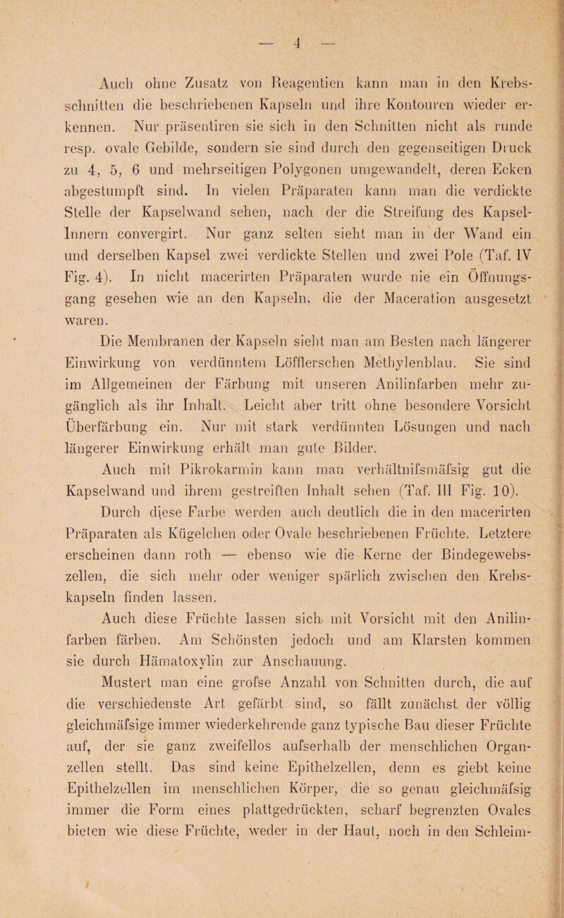 Auch ohne Zusatz von Reagentien kann man in den Krebs¬ schnitten die beschriebenen Kapseln und ihre Kontouren wieder er¬ kennen. Nur prasentiren sie sich in den Schnitten nicht als runde resp. ovale Gebilde, sondern sie sind durch den gegenseitigen Druck zu 4, 5, 6 und mehrseitigen Polygonen umgewandelt, deren Ecken abgestumpft sind. In vielen Präparaten kann man die verdickte Stelle der Kapselwand sehen, nach der die Streifung des Kapsel- Innern convergirt. Nur ganz selten sieht man in der Wand ein und derselben Kapsel zwei verdickte Stellen und zwei Pole (Taf. IV Fig. 4). In nicht macerirten Präparaten wurde nie ein Öffnungs¬ gang gesehen wie an den Kapseln, die der Maceration ausgesetzt waren. Die Membranen der Kapseln sieht man am Besten nach längerer Einwirkung von verdünntem Löfflerschen Methylenblau. Sie sind im Allgemeinen der Färbung mit unseren Anilinfarben mehr zu¬ gänglich als ihr Inhalt. Leicht aber tritt ohne besondere Vorsicht Überfärbung ein. Nur mit stark verdünnten Lösungen und nach längerer Einwirkung erhält man gute Bilder. Auch mit Pikrokarrnin kann man verhältnifsmäfsig gut die Kapselwand und ihrem gestreiften Inhalt sehen (Taf. III Fig. 10). Durch diese Farbe werden auch deutlich die in den macerirten Präparaten als Kügelchen oder Ovale beschriebenen Früchte. Letztere erscheinen dann roth — ebenso wie die Kerne der Bindegewebs¬ zellen, die sich mehr oder weniger spärlich zwischen den Krebs¬ kapseln finden lassen. Auch diese Früchte lassen sich mit Vorsicht mit den Anilin¬ farben färben. Am Schönsten jedoch und am Klarsten kommen sie durch Hämatoxylin zur Anschauung. Mustert man eine grofse Anzahl von Schnitten durch, die auf die verschiedenste Art gefärbt sind, so fällt zunächst der völlig gleichmäfsige immer wiederkehrende ganz typische Bau dieser Früchte auf, der sie ganz zweifellos aufserhalb der menschlichen Organ¬ zellen stellt. Das sind keine Epithelzellen, denn es giebt keine Epithelzellen im menschlichen Körper, die so genau gleichrnäfsig immer die Form eines plattgedrückten, scharf begrenzten Ovales bieten wie diese Früchte, weder in der Haut, noch in den Schleim-