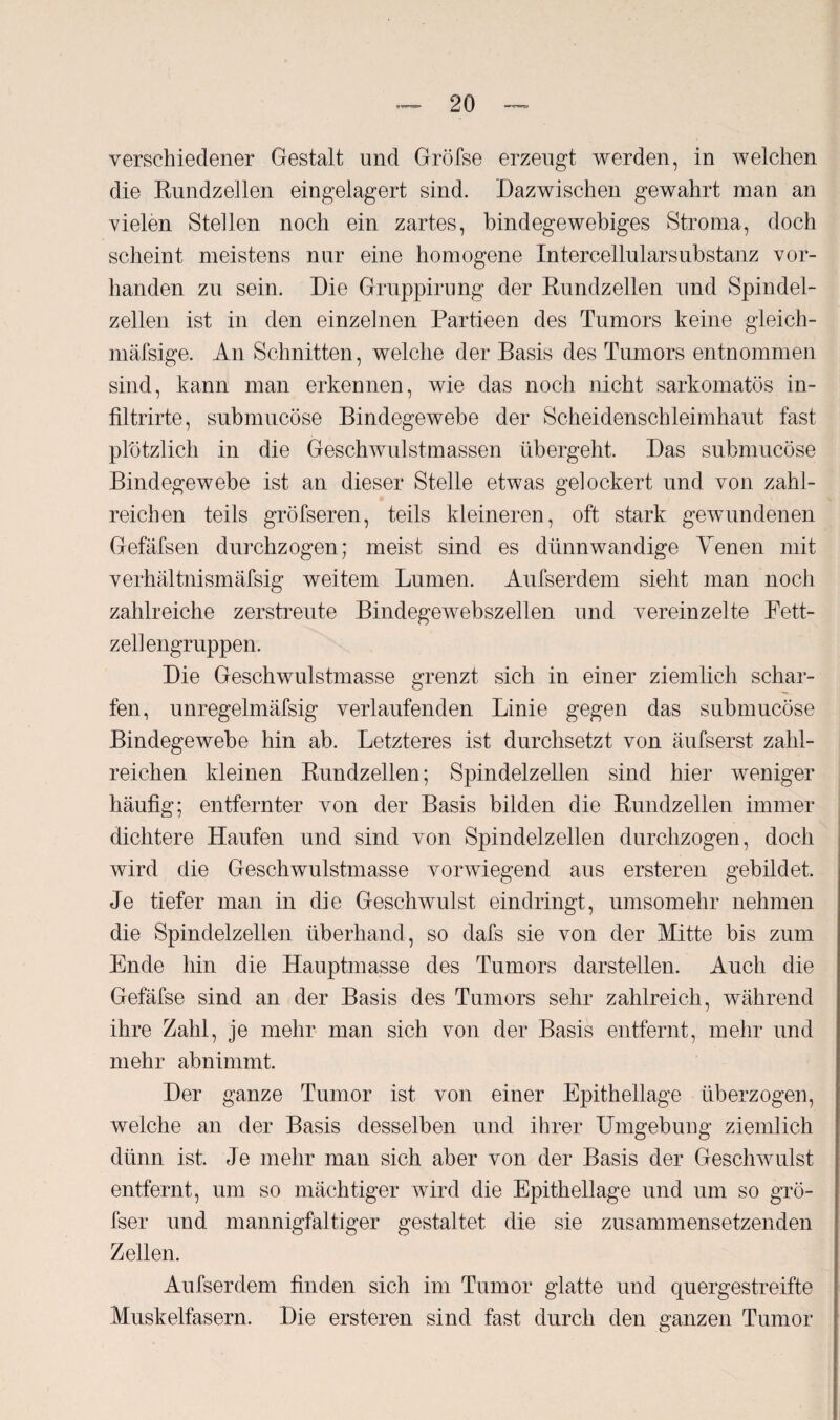 verschiedener Gestalt und Gröfse erzeugt werden, in welchen die Rundzellen eingelagert sind. Dazwischen gewahrt man an vielen Stellen noch ein zartes, bindegewebiges Stroma, doch scheint meistens nur eine homogene Intercellularsubstanz vor¬ handen zu sein. Die Gruppirung der Rundzellen und Spindel¬ zellen ist in den einzelnen Partieen des Tumors keine gleich- mäfsige. An Schnitten, welche der Basis des Tumors entnommen sind, kann man erkennen, wie das noch nicht sarkomatös in- filtrirte, submucöse Bindegewebe der Scheidenschleimhaut fast plötzlich in die Geschwulstmassen übergeht. Das submucöse Bindegewebe ist an dieser Stelle etwas gelockert und von zahl¬ reichen teils gröfseren, teils kleineren, oft stark gewundenen Gefäfsen durchzogen; meist sind es dünnwandige Venen mit verhältnismäfsig weitem Lumen. Aufserdem sieht man noch zahlreiche zerstreute Bindegewebszellen und vereinzelte Fett¬ zellengruppen. Die Geschwulstmasse grenzt sich in einer ziemlich schar¬ fen, unregelmäfsig verlaufenden Linie gegen das submucöse Bindegewebe hin ab. Letzteres ist durchsetzt von äufserst zahl¬ reichen kleinen Rundzellen; Spindelzellen sind hier weniger häufig; entfernter von der Basis bilden die Rundzellen immer dichtere Haufen und sind von Spindelzellen durchzogen, doch wird die Geschwulstmasse vorwiegend aus ersteren gebildet. Je tiefer man in die Geschwulst eindringt, umsomehr nehmen die Spindelzellen überhand, so dafs sie von der Mitte bis zum Ende hin die Hauptmasse des Tumors darstellen. Auch die Gefäfse sind an der Basis des Tumors sehr zahlreich, während ihre Zahl, je mehr man sich von der Basis entfernt, mehr und mehr abnimmt. Der ganze Tumor ist von einer Epithellage überzogen, welche an der Basis desselben und ihrer Umgebung ziemlich dünn ist. Je mehr man sich aber von der Basis der Geschwulst entfernt, um so mächtiger wird die Epithellage und um so grö- fser und mannigfaltiger gestaltet die sie zusammensetzenden Zellen. Aufserdem finden sich im Tumor glatte und quergestreifte Muskelfasern. Die ersteren sind fast durch den ganzen Tumor