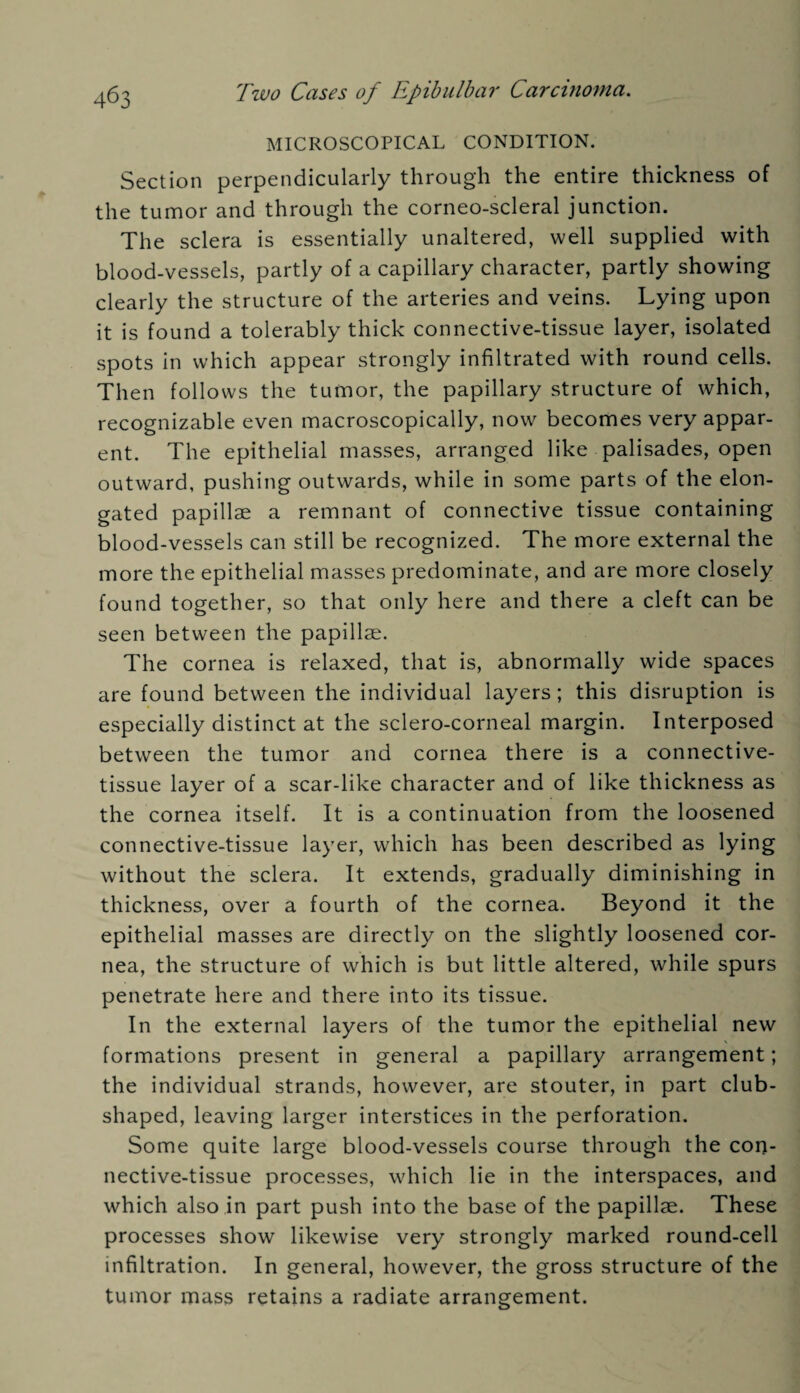 MICROSCOPICAL CONDITION. Section perpendicularly through the entire thickness of the tumor and through the corneo-scleral junction. The sclera is essentially unaltered, well supplied with blood-vessels, partly of a capillary character, partly showing clearly the structure of the arteries and veins. Lying upon it is found a tolerably thick connective-tissue layer, isolated spots in which appear strongly infiltrated with round cells. Then follows the tumor, the papillary structure of which, recognizable even macroscopically, now becomes very appar¬ ent. The epithelial masses, arranged like palisades, open outward, pushing outwards, while in some parts of the elon¬ gated papillae a remnant of connective tissue containing blood-vessels can still be recognized. The more external the more the epithelial masses predominate, and are more closely found together, so that only here and there a cleft can be seen between the papillae. The cornea is relaxed, that is, abnormally wide spaces are found between the individual layers; this disruption is especially distinct at the sclero-corneal margin. Interposed between the tumor and cornea there is a connective- tissue layer of a scar-like character and of like thickness as the cornea itself. It is a continuation from the loosened connective-tissue layer, which has been described as lying without the sclera. It extends, gradually diminishing in thickness, over a fourth of the cornea. Beyond it the epithelial masses are directly on the slightly loosened cor¬ nea, the structure of which is but little altered, while spurs penetrate here and there into its tissue. In the external layers of the tumor the epithelial new formations present in general a papillary arrangement; the individual strands, however, are stouter, in part club- shaped, leaving larger interstices in the perforation. Some quite large blood-vessels course through the con¬ nective-tissue processes, which lie in the interspaces, and which also in part push into the base of the papillae. These processes show likewise very strongly marked round-cell infiltration. In general, however, the gross structure of the tumor mass retains a radiate arrangement.