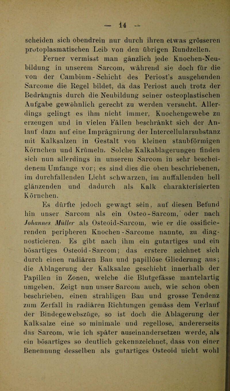 scheiden sich obendrein nur durch iliren etwas grösseren prutoplasmatischen Leib von den übrigen Rundzellen. Ferner vermisst man gänzlich jede Knochen-Neu¬ bildung in unserem Sarcom, während sie doch für die von der Cambiurn - Schicht des Periost’s ausgehenden Sarcome die Regel bildet, da das Periost auch trotz der Bedrängnis durch die Neubildung seiner osteoplastischen Aufgabe gewöhnlich gerecht zu werden versucht. Aller¬ dings gelingt es ihm nicht immer, Knochengewebe zu erzeugen und in vielen Fällen beschi’änkt sich der An¬ lauf dazu auf eine Irnprägnii’ung der Intercellularsubstanz mit Kalksalzen in Gestalt von kleinen staubförmigen Körnchen und Krümeln. Solche Kalkablagerungeu finden sich nun allerdings in unserem Sarcom in sehr beschei¬ denem Umfange vor; es sind dies die oben beschriebenen, im durcbfallenden Licht schwarzen, im auffallenden hell glänzenden und dadurch als Kalk charakterisierten Körnchen. Fs düifte jedoch gewagt sein, auf diesen Befund hin unser Sarcom als ein Osteo-Sarcom,’ oder nach Johannes Müller .als Osteoid-Sarcom, wie er die ossificie- renden peripheren Knochen - Sarcome nannte, zu diag- nosticiereu. Es gibt nach ihm ein gutartiges und ein bösartiges Osteoid-Sarcom; das erstere zeichnet sich durch einen radiären Bau und papillöse Gliederung aus; die Ablagerung der Kalksalze geschieht innerhalb der Papillen in Zonen, welche die Blutgefässe mantelartig umgeben. Zeigt nun unser Sarcom auch, wie schon oben beschrieben, einen strahligen Bau und grosse Tendenz zum Zerfall in radiären Richtungen gemäss dem Verlauf der Bindcgewebszüge, so ist doch die Ablagerung der Kalksalze eine so minimale und regellose, andererseits das Sarcom, wie ich später auseinandersetzen werde, als ein bösartiges so deutlich gekennzeichnet, dass von einer Benennung <lesselben als gutartiges Osteoid nicht wohl