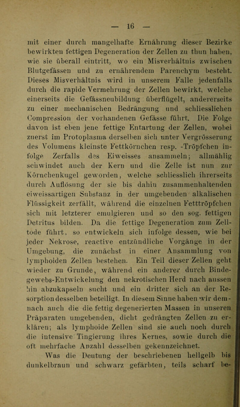 mit einer durch mangelhafte Ernährung dieser Bezii’ke bewirkten fettigen Degeneration der Zellen zu thun haben, wie sie überall eintritt, wo ein Misverhältnis zwischen Blutgefässen und zu ernährendem Parenchym besteht. Dieses Misverhältnis wird in unserem Falle jedenfalls durch die rapide Vermehrung der Zellen bewirkt, welche einerseits die Gefässneubildung überflügelt, andererseits zu einer mechanischen Bedrängung und scliliesslichen (Kompression der vorhandenen Gefässe führt. Die Folge davon ist eben jene fettige Entartung der Zellen, wobei zuerst im Protoplasma derselben sich unter Vergrösserung des Volumens kleinste FettkOrnchen resp. -Ti’öpfchen in¬ folge Zerfalls des Eiweisses ansammeln; allmählig schwindet auch der Kern und die Zelle ist nun zur Körnchenkugel geworden, welche schliesslich ihrerseits durch Auflösung der sie bis dahin zusammenhaltenden eiweissartigen Substanz in der umgebenden alkalischen Flüssigkeit zerfällt, während die einzelnen Fetttröx^fchen sich mit letzterer emulgieren und so den sog. fettigen Detritus bilden. Da die fettige Degeneration zum Zell¬ tode führt, so entwickeln sich infolge dessen, wie bei jeder Nekrose, reactive entzündliche Vorgänge in der Umgebung, die zunächst in einer Ansammlung von lymphoiden Zellen bestehen. Ein Teil dieser Zellen geht wieder zu Grunde, während ein anderer durch Binde- gewebs-Entwickelung den nekrotischen Herd nach aussen !iin abzukapseln sucht und ein dritter sich an der De¬ sorption desselben beteiligt. In diesem Sinne haben wir dem¬ nach auch die die fettig degenerierten Massen in unsei’en Präparaten umgebenden, dicht gedrängten Zellen zu ei‘- klären; als lymphoide Zellen sind sie auch noch durch die intensive Tingierung ihres Kernes, sowie durch die oft mehrfache Anzahl desselben gekennzeichnet. Was die Deutung der beschriebenen hellgelb bis dunkelbraun und sclnvarz gefärbten, teils scharf he-