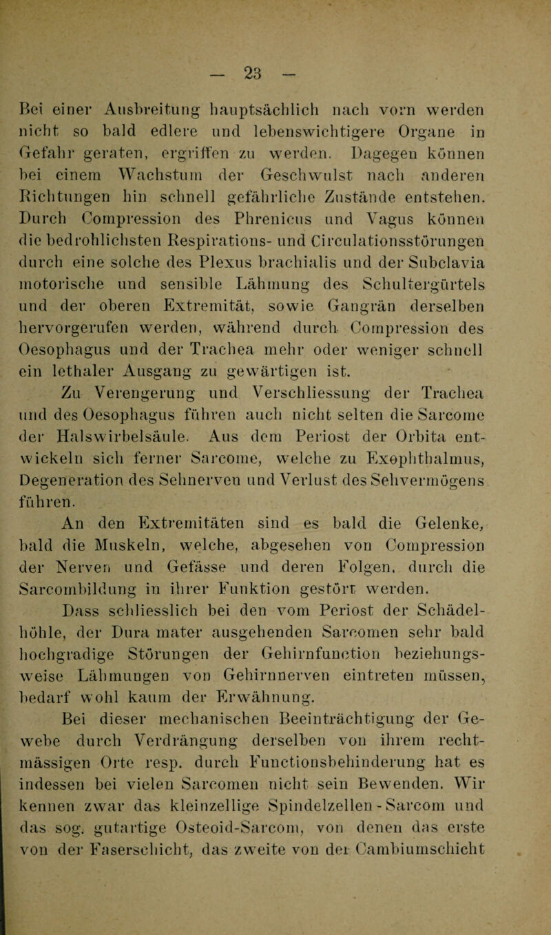 Bei einer Ausbreitung hauptsächlich nach vorn werden nicht so bald edlere und lebenswichtigere Organe in Gefahr geraten, ergriffen zu werden. Dagegen können bei einem Wachstum der Geschwulst nach anderen Richtungen hin schnell gefährliche Zustände entstehen. Durch Compression des Phrenicus und Vagus können die bedrohlichsten Respirations- und Circulationsstörungen durch eine solche des Plexus brachialis und der Subclavia motoi'ische und sensible Lähmung des Schultergürtels und der oberen Extremität, sowie Gangrän derselben hervorgerufen werden, während durch- Compression des Oesophagus und der Trachea mehr oder weniger schnell ein lethaler Ausgang zu gew^ärtigen ist. Zu Verengerung und Verschliessung der Trachea und des Oesophagus führen auch nicht selten dieSarcome der Hals Wirbel Säule. Aus dem Periost der Orbita ent¬ wickeln sich ferner Sarcome, welche zu Exophthalmus, Degeneration des Sehnerven und Verlust des Sehvermögens, führen. An den Extremitäten sind es bald die Gelenke, bald die Muskeln, welche, abgesehen von Compression der Nerven und Gefässe und deren Folgen, durch die Sarcombildung in ihrer Funktion gestört werden. Dass schliesslich bei den vom Periost der Scbädel- höhle, der Dura mater ausgehenden Sarcomen sehr bald hochgradige Störungen der Gehirnfunction beziehungs¬ weise Lähmungen von Gehirnnerven eintreten müssen, bedarf wohl kaum der Erwähnung. Bei dieser mechanischen Beeinträchtigung der Ge- w^ebe durch Verdrängung derselben von ihrem recht¬ mässigen Orte resp. durch Functionsbehinderung hat es indessen bei vielen Sarcomen nicht sein Bewenden. Wir kennen zwar das kleinzellige Spindelzellen - Sarcoin und das sog. gutartige Osteoid-Sarcom, von denen das erste von der Faserschicht, das zweite von der Cambiumschicht