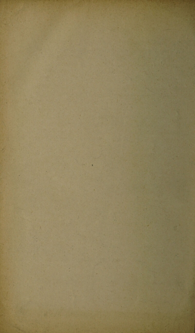 e *• *• r l) -i * * ■ V-jr‘ ,Tr• v/-, '’t- -- r, 1 > 'X >fT»’ *■*'*. ^ V V - ^T- ■,v:.f;v ’-'C'-' ^“■r: --r':^ ‘'^-■5f:.i‘.‘ ,.--;v'- ;',. ■ • .r^v.-»-* ■-;,r:--. ■ -.y, ■■ .iS ^ r . -• r ^ l. y . ' ■ fc- ■■ .\ jT ''•. :■<»* ' • * V /( .! ■ '<•/*• . . ■ i >'••»' . .-y'*' .•nT • :. ' ■<6'-'' '• , '.> •'. J, ( . . .';•■••-■ 1 -■■■•' ♦ ' ■ ■ ■ . i. ’ * .^. »• ♦ ' » . . • -V-' •1 V f. > -f. ■• • t''>^ ^ V- - .f •v: ’ < r^' •■ :-^r^ ß* t' ;45' ' ' v“ ' J ■ » , >• '/.-kV - .*.-> • • .■ .X^.V -' - . •••■ V. X ; .V^; . - -- - - - • - • ' r s, ■ • ' .■:;. «?'■■ .-■. •■. ^mm ^:<1.• ^ yr . . ■ ,,', -o..-, yy ^-y V »Z:, .. ' i '. ■ ■..y^; -. ■ •■.■'■ ■'>■ ii V, If ‘ • .K- ■ ,. ’.,-,i . ■. M 'V' ■ ' ’'v' ’ •\ '* .> ■' *■ > ». . ' - iirt ■ . ' Vs m\-v ' ■■ ■■vlV';.XX^r''■».'-■■'■•'''■'■■‘^^^ •V.- -s-J’*'' • -''■■■'■'■■■'V;-^-.: •' •'A'-U.yV .• '•«■^ , . , -■ y- ■ ,- V • -• • •; %. • \-.v '‘••■Ir .. .•V'-, ■■. •■ ■•:.>■.■ :.'.';f3 . ..«kUj 1 - r^. ^ • -'-■ ' ■' r ■ v'l V ■?'V ' 'y.T'I » i'** i ■ '■ < . r. *.«. . *• ♦ ■' ■-.. ' ‘ '. ' ^ 'V '■■>■■ ■•- • • V „ ( •■■ ■ . • ■' . . •’i' '/jL. -.-'‘K r “ >• ' .ti •'■ ■ ‘ ■ ■' ‘'■i' •-■'*>; .r* *’ -* '^jf.-'' ‘■V'^',‘11^. m ■fl ’ ■'' . - . . r ■-•' V' ■ :■ '•- 1* ■ •* \ rV/ ; - SV--*' ’ '<•-■'■• ■ II. *. •^* • ;- ... <' .L ■ •■■ y -v * * • *•.. r •• - ,y , '>«•. f. '*•. w. _■ .' * -*■ ■* ■. r<, „ I . •. ir,.”-v.‘:»S*.; :,.y, ! . ■> ■■ -i . .■■:i ■y 's- . , .•>'•■■ -vV 'i.- . V/' ' • ;i»'r .-.y . ' ^ VC' Wt4f^ * ' i'' % ' ■ 'S^'.sSiÜ • T ’-w • ^ •» • ’ * *: ,.-■. x'v:vv^w . ‘;t •y- ’■ 7 '5-Y . ■ '■ r’' •■ ■ :• ;■■•'•. .r .‘:V•^H■^ 7#’ k . *.' ;<-r . «- vl •«AV # .5:: \ , ■/ V. ''iä