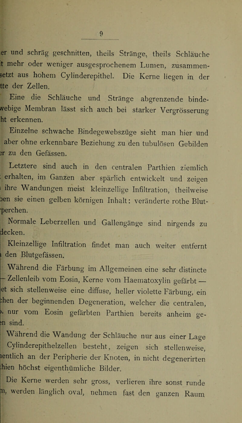 _9 er und schräg geschnitten, theils Stränge, theils Schläuche it mehr oder weniger ausgesprochenem Lumen, zusammen¬ setzt aus hohem Cylinderepithel. Die Kerne liegen in der tte der Zellen. Eine die Schläuche und Stränge abgrenzende binde- ivebige Membran lässt sich auch bei starker Vergrösserung O O ht erkennen. Einzelne schwache Bindegewebszüge sieht man hier und aber ohne erkennbare Beziehung zu den tubulösen Gebilden 3r zu den Gefässen. Letztere sind auch in den centralen Parthien ziemlich . erhalten, im Ganzen aber spärlich entwickelt und zeigen i ihre Wandungen meist kleinzellige Infiltration, theilweise Den sie einen gelben körnigen Inhalt: veränderte rothe Blut- 'perchen. Normale Leberzellen und Gallengänge sind nirgends zu decken. Kleinzellige Infiltration findet man auch weiter entfernt i den Blutgefässen. Während die Färbung im Allgemeinen eine sehr distincte — Zellenleib vom Eosin, Kerne vom Haematoxylin gefärbt — et sich stellenweise eine diffuse, heller violette Färbung, ein „hen der beginnenden Degeneration, welcher die centralen, >. nur vom Eosin gefärbten Parthien bereits anheim ^e- Ö in sind. Wählend die Wandung der Schläuche nur aus einer Lage Cylinderepithelzellen besteht, zeigen sich stellenweise, lentlich an der Peripherie der Knoten, in nicht degenerirten Eien höchst eigenthümliche Bilder. Die Kerne werden sehr gross, verlieren ihre sonst runde x>, werden länglich oval, nehmen fast den ganzen Raum