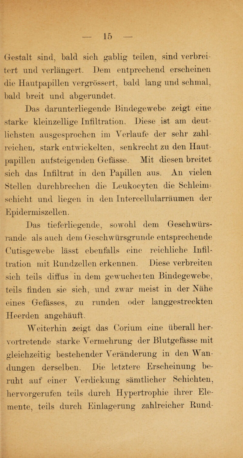 Gestalt sind, bald sich gablig teilen, sind verbrei¬ tert und verlängert. Dem entprechend erscheinen die Hautpapillen vergrössert, bald lang und schmal, bald breit und abgerundet. Das darunterliegende Bindegewebe zeigt eine starke kleinzellige Infiltration. Diese ist am deut¬ lichsten ausgesprochen im Verlaufe der sehr zahl¬ reichen, stark entwickelten, senkrecht zu den Haut¬ papillen auf steigen den Gefässe. Mit diesen breitet sich das Infiltrat in den Papillen aus. An vielen Stellen durchbrechen die Leukocyten die Schieine Schicht und liegen in den Intercellularräumen der Epidermiszellen. Das tieferliegende, sowohl dem Geschwürs¬ rande als auch dem Geschwürsgrunde entsprechende Cutisgewebe lässt ebenfalls eine reichliche Infil¬ tration mit Rundzellen erkennen. Diese verbreiten sich teils diffus in dem gewucheiten Bindegewebe, teils finden sie sich, und zwar meist in der Xähe eines Gefässes, zu runden oder langgestreckten Heer den angehäuft. Weiterhin zeigt das Corium eine überall her¬ vortretende starke Vermehrung der Blutgefässe mit gleichzeitig bestehender Veränderung in den W an- dungen derselben. Die letztere Erscheinung be¬ ruht auf einer Verdickung sämtlicher Schichten, hervorgerufen teils durch Hypertrophie ihrer Ele¬ mente, teils durch Einlagerung zahlreicher Rund-