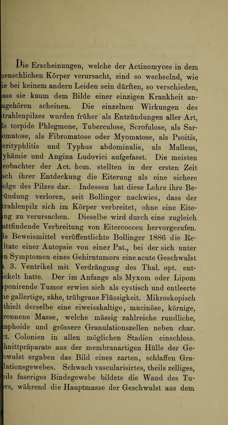 Die Erscheinungen, welche der Actinomyces in dem lenschlichen Körper verursacht, sind so wechselnd, wie ie bei keinem andern Leiden sein dürften, so verschieden, ass sie kaum dem Bilde einer einzigen Krankheit an- ugehören scheinen. Die einzelnen Wirkungen des trahlenpilzes wurden früher als Entzündungen aller Art, ls torpide Phlegmone, Tuberculose, Scrofulose, als Sar- omatose, als Fibromatose oder Myomatose, als Psoitis, erityphlitis und Typhus abdominalis, als Malleus, yhämie und Angina Ludovici aufgefasst. Die meisten eobachter der Act. hom. stellten in der ersten Zeit ich ihrer Entdeckung die Eiterung als eine sichere olge des Pilzes dar. Indessen hat diese Lehre ihre Be¬ endung verloren, seit Bollinger nachwies, dass der trahlenpilz sich im Körper verbreitet, ohne eine Eite- LDg zu verursachen. Dieselbe wird durch eine zugleich attfindende Verbreitung von Eitercoccen hervorgerufen, ls Beweismittel veröffentlichte Bollinger 1886 die Re- ltate einer Autopsie von einer Pat., bei der sich unter \n Symptomen eines Gehirntumors eine acute Geschwulst l 3. Ventrikel mit Verdrängung des Thal. opt. ent- ickelt hatte. Der im Anfänge als Myxom oder Lipom ponirende Tumor erwies sich als cystisch und entleerte ie gallertige, zähe, trübgraue Flüssigkeit. Mikroskopisch thielt derselbe eine eiweisshaltige, mucinöse, körnige, ronnene Masse, welche mässig zahlreiche rundliche, oiphoide und grössere Granulationszellen neben char. it. Colonien in allen möglichen Stadien einschloss, knittpräparate aus der membranartigen Hülle der Ge- iwulst ergaben das Bild eines zarten, schlaffen Gra- lationsgewebes. Schwach vascularisirtes, theils zelliges, dis faseriges Bindegewebe bildete die Wand des Tu- >rs, während die Hauptmasse der Geschwulst aus dem