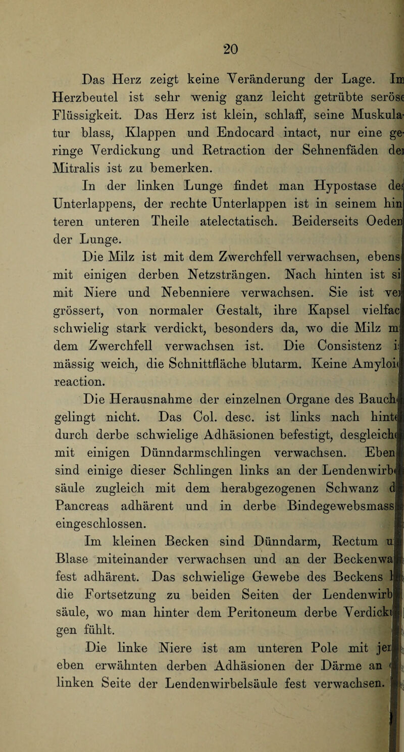 Das Herz zeigt keine Veränderung der Lage. Im Herzbeutel ist sehr wenig ganz leicht getrübte seröse Flüssigkeit. Das Herz ist klein, schlaff, seine Muskula¬ tur blass, Klappen und Endocard intact, nur eine ge¬ ringe Verdickung und Retraction der Sehnenfäden dei Mitralis ist zu bemerken. In der linken Lunge findet man Hypostase de* Unterlappens, der rechte Unterlappen ist in seinem hin teren unteren Theile atelectatisch. Beiderseits Oeder der Lunge. Die Milz ist mit dem Zwerchfell verwachsen, ebens mit einigen derben Netzsträngen. Nach hinten ist si mit Niere und Nebenniere verwachsen. Sie ist vei grössert, von normaler Gestalt, ihre Kapsel vielfac schwielig stark verdickt, besonders da, wo die Milz m dem Zwerchfell verwachsen ist. Die Consistenz ii mässig weich, die Schnittfläche blutarm. Keine Amyloit reaction. Die Herausnahme der einzelnen Organe des Bauch gelingt nicht. Das Col. desc. ist links nach hinfi durch derbe schwielige Adhäsionen befestigt, desgleich mit einigen Dünndarmschlingen verwachsen. Eben sind einige dieser Schlingen links an der Lendenwirbel säule zugleich mit dem herabgezogenen Schwanz dH Pancreas adhärent und in derbe Bindegewebsmassli eingeschlossen. ■ Im kleinen Becken sind Dünndarm, Rectum u i Blase miteinander verwachsen und an der Beckenwap fest adhärent. Das schwielige Gewebe des Beckens 1 m die Fortsetzung zu beiden Seiten der Lendenwirbii säule, wo man hinter dem Peritoneum derbe V er dich f gen fühlt. ■ Die linke Niere ist am unteren Pole mit jerl) eben erwähnten derben Adhäsionen der Därme an linken Seite der Lendenwirbelsäule fest verwachsen, i :