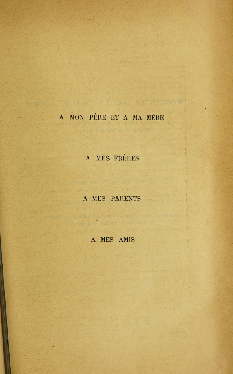 A MON PÈRE ET A MA MÈRE A MES FRÈRES A MES PARENTS A MES AMIS