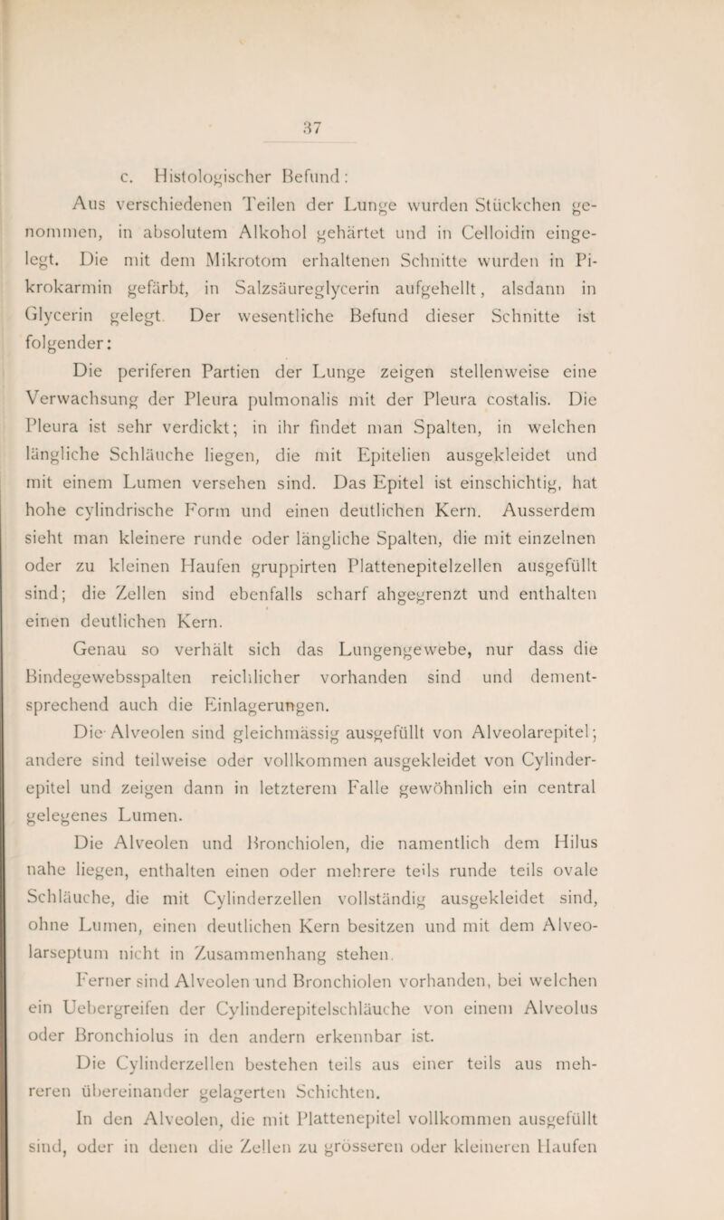 c. Histologischer Befund: Aus verschiedenen Teilen der Lunge wurden Stückchen ge¬ nommen, in absolutem Alkohol gehärtet und in Celloidin einge¬ legt. Die mit dem Mikrotom erhaltenen Schnitte wurden in Pi- krokarmin gefärbt, in Salzsäureglycerin aufgehellt, alsdann in Glycerin gelegt Der wesentliche Befund dieser Schnitte ist folgender: Die periferen Partien der Lunge zeigen stellenweise eine Verwachsung der Pleura pulmonalis mit der Pleura costalis. Die Pleura ist sehr verdickt; in ihr findet man Spalten, in welchen längliche Schläuche liegen, die mit Epitelien ausgekleidet und mit einem Lumen versehen sind. Das Epitel ist einschichtig, hat hohe cylindrische Form und einen deutlichen Kern. Ausserdem sieht man kleinere runde oder längliche Spalten, die mit einzelnen oder zu kleinen Haufen gruppirten Plattenepitelzellen ausgefüllt sind; die Zellen sind ebenfalls scharf ahgegrenzt und enthalten einen deutlichen Kern. Genau so verhält sich das Lungengewebe, nur dass die Bindegewebsspalten reichlicher vorhanden sind und dement¬ sprechend auch die Einlagerungen. Die Alveolen sind gleichmässig ausgefüllt von Alveolarepitel; andere sind teilweise oder vollkommen ausgekleidet von Cylinder- epitel und zeigen dann in letzterem Falle gewöhnlich ein central gelegenes Lumen. Die Alveolen und Bronchiolen, die namentlich dem Hilus nahe liegen, enthalten einen oder mehrere teils runde teils ovale Schläuche, die mit Cylinderzellen vollständig ausgekleidet sind, ohne Lumen, einen deutlichen Kern besitzen und mit dem Alveo¬ larseptum nicht in Zusammenhang stehen. Ferner sind Alveolen und Bronchiolen vorhanden, bei welchen ein Eiebergreifen der Cylinderepitelschläuche von einem Alveolus oder Bronchiolus in den andern erkennbar ist. Die Cylinderzellen bestehen teils aus einer teils aus meh¬ reren übereinander gelagerten Schichten. In den Alveolen, die mit Plattenepitel vollkommen ausgefüllt sind, oder in denen die Zellen zu grösseren oder kleineren Haufen