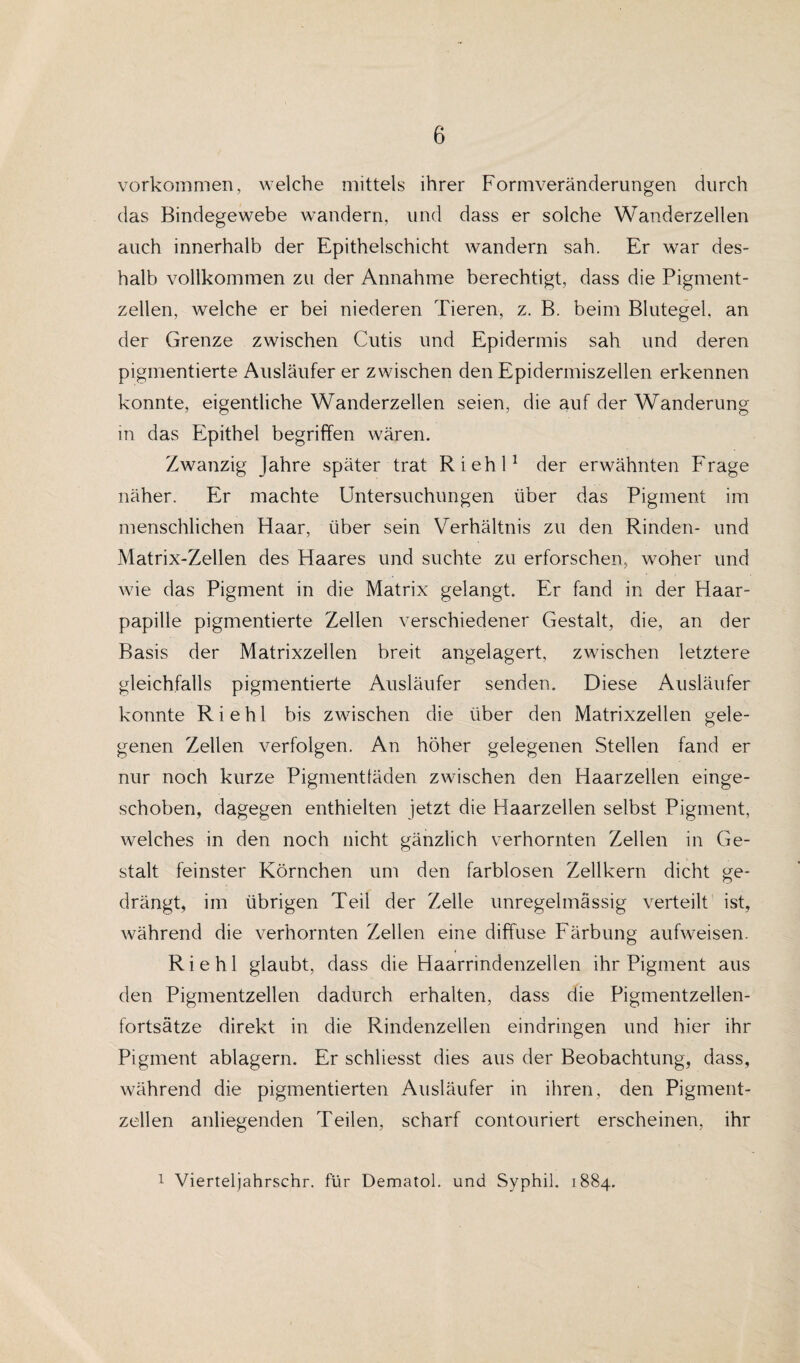Vorkommen, welche mittels ihrer Formveränderungen durch das Bindegewebe wandern, und dass er solche Wanderzellen auch innerhalb der Epithelschicht wandern sah. Er war des¬ halb vollkommen zu der Annahme berechtigt, dass die Pigment¬ zellen, welche er bei niederen Tieren, z. B. beim Blutegel, an der Grenze zwischen Cutis und Epidermis sah und deren pigmentierte Ausläufer er zwischen den Epidermiszellen erkennen konnte, eigentliche Wanderzellen seien, die auf der Wanderung in das Epithel begriffen wären. Zwanzig Jahre später trat Riehl1 der erwähnten Frage näher. Er machte Untersuchungen über das Pigment im menschlichen Haar, über sein Verhältnis zu den Rinden- und Matrix-Zellen des Haares und suchte zu erforschen, woher und wie das Pigment in die Matrix gelangt. Er fand in der Haar¬ papille pigmentierte Zellen verschiedener Gestalt, die, an der Basis der Matrixzeilen breit angelagert, zwischen letztere gleichfalls pigmentierte Ausläufer senden. Diese Ausläufer konnte Riehl bis zwischen die über den Matrixzellen gele¬ genen Zellen verfolgen. An höher gelegenen Stellen fand er nur noch kurze Pigmentfäden zwischen den Haarzellen einge¬ schoben, dagegen enthielten jetzt die Haarzellen selbst Pigment, welches in den noch nicht gänzlich verhornten Zellen in Ge¬ stalt feinster Körnchen um den farblosen Zellkern dicht ge¬ drängt, im übrigen Teil der Zelle unregelmässig verteilt ist, während die verhornten Zellen eine diffuse Färbung aufweisen. Riehl glaubt, dass die Haarrindenzellen ihr Pigment aus den Pigmentzellen dadurch erhalten, dass die Pigmentzellen¬ fortsätze direkt in die Rindenzellen eindringen und hier ihr Pigment ablagern. Er schliesst dies aus der Beobachtung, dass, während die pigmentierten Ausläufer in ihren, den Pigment¬ zellen anliegenden Teilen, scharf contouriert erscheinen, ihr 1 Vierteljahrschr. für Dematol. und Syphil. 1884.
