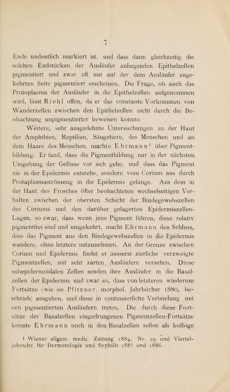 i Ende undeutlich markiert ist. und dass dann gleichzeitig die solchen Endstücken der Ausläufer anliegenden Epithelzellen pigmentiert und zwar oft nur auf der dem Ausläufer zuge¬ kehrten Seite pigmentiert erscheinen. Die Frage, ob auch das Protoplasma der Ausläufer in die Epithelzellen aufgenommen wird, lässt Riehl offen, da er das constante Vorkommen von Wanderzellen zwischen den Epithelzellen nicht durch die Be¬ obachtung unpigmentierter beweisen konnte. Weitere, sehr ausgedehnte Untersuchungen an der Haut der Amphibien, Reptilien, Säugetiere, des Menschen und an dem Haare des Menschen, machte Ehr mann1 über Pigment¬ bildung. Er fand, dass die Pigmentbildung nur in der nächsten Umgebung der Gefässe vor sich gehe, und dass das Pigment nie in der Epidermis entstehe, sondern vom Corium aus durch Protaplasmaströmung in die Epidermis gelange. Aus dem in der Haut des Frosches öfter beobachteten wechselseitigen Ver¬ halten zwischen der obersten Schicht der Bindegewebszellen des Coriums und den darüber gelagerten Epidermiszellen- Lagen, so zwar, dass wenn jene Pigment führen, diese relativ pigmentfrei sind und umgekehrt, macht Ehrmann den Schluss, dass das Pigment aus den Bindegewebszellen in die Epidermis wandere, ohne letztere mitzunehmen. An der Grenze zwischen Corium und Epidermis findet er äusserst zierliche verzweigte Pigmentzellen, mit sehr zarten Ausläufern versehen. Diese subepidermoidalen Zellen senden ihre Ausläufer in die Basal¬ zellen der Epidermis und zwar so, dass von letzteren wiederum Fortsätze (wie sie Pfitzner, morphol. Jahrbücher 1880, be¬ schrieb' ausgehen, und diese in continuierliche Verbindung mit oen pigmentierten Ausläufern treten. Die durch diese Fort¬ sätze der Basalzellen eingedrungenen Pigmentzellen-Fortsätze konnte Ehrmann noch in den Basalzellen selbst als kolbige * 1 Wiener allgem. medic. Zeitung 1884, Nr. 29 und Viertel-