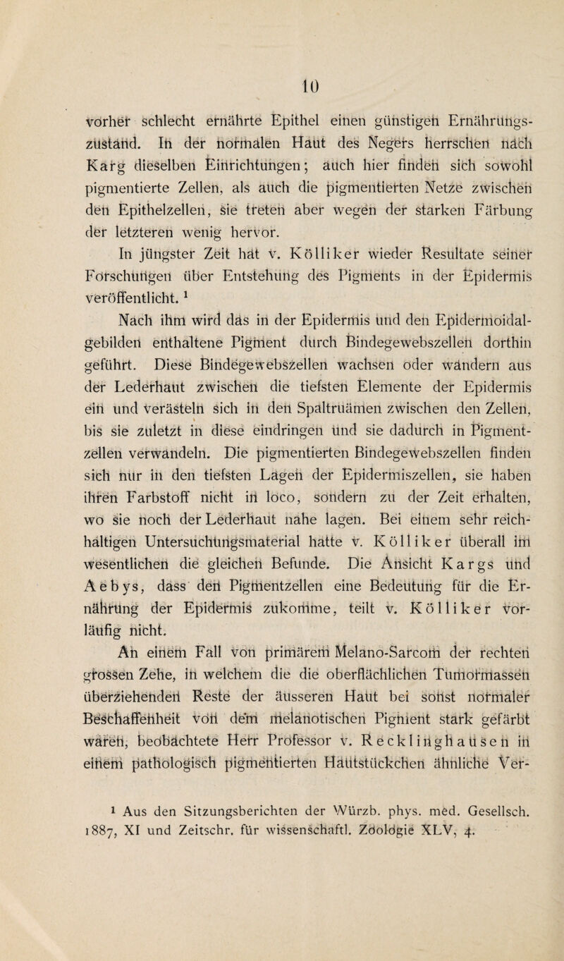 vorher schlecht ernährte Epithel einen günstigen Ernährungs¬ zustand. In der normalen Haut des Negers herrschen näch Karg dieselben Einrichtungen; auch hier finden sich sowohl pigmentierte Zellen, als auch die pigmentierten Netze zwischen den Epithelzellen, sie treten aber wegen der starken Färbung der letzteren wenig hervor. In jüngster Zeit hät v. Kölliker wieder Resultate seiner Forschungen über Entstehung des Pigments in der Epidermis veröffentlicht.1 Nach ihm wird das in der Epidermis und den Epidermoidal¬ gebilden enthaltene Pigment durch Bindegewebszellen dorthin geführt. Diese Bindegewebszellen wachsen oder wändern aus der Lederhaut zwischen die tiefsten Elemente der Epidermis ein und Verästeln sich in den Spaltruämen zwischen den Zellen, bis sie zuletzt in diese eindringen und sie dadurch in Pigment¬ zellen verwandeln. Die pigmentierten Bindegewebszellen finden sich nur in den tiefsten Lägen der Epidermiszellen, sie haben ihren Farbstoff nicht in loco, sondern zu der Zeit erhalten, wo Sie noch der Lederhaut nahe lagen. Bei einem sehr reich¬ haltigen Untersuchüiigsmaterial hatte v. K ö 11 i k e r überall im wesentlichen die gleichen Befunde. Die Ansicht Kargs und Äebys, dass den Pigtlientzellen eine Bedeutung für die Er¬ nährung der Epidermis zukomme, teilt v. K ö 11 i k e r vor¬ läufig nicht. • j V Äh einem Fall von prihlärerh Melano-Sarcom der rechten gfoSSen Zehe, in welchem die die oberflächlichen Tumofmasseh überziehenden Reste der äusseren Habt bei Sottst normaler Beschaffenheit voii dem rrtelanotischen Pighient stark gefärbt wareti, beobachtete Hetr Professor v. Recklinghausen in eiiiem pathologisch pigmetitierten Hätttstückchen ähnliche Ver- 1 Aus den Sitzungsberichten der Würzb. phys. med. Gesellsch. 1887, XI und Zeitschr. für Wissenschaft!. Zöoldgie XLV, 4.