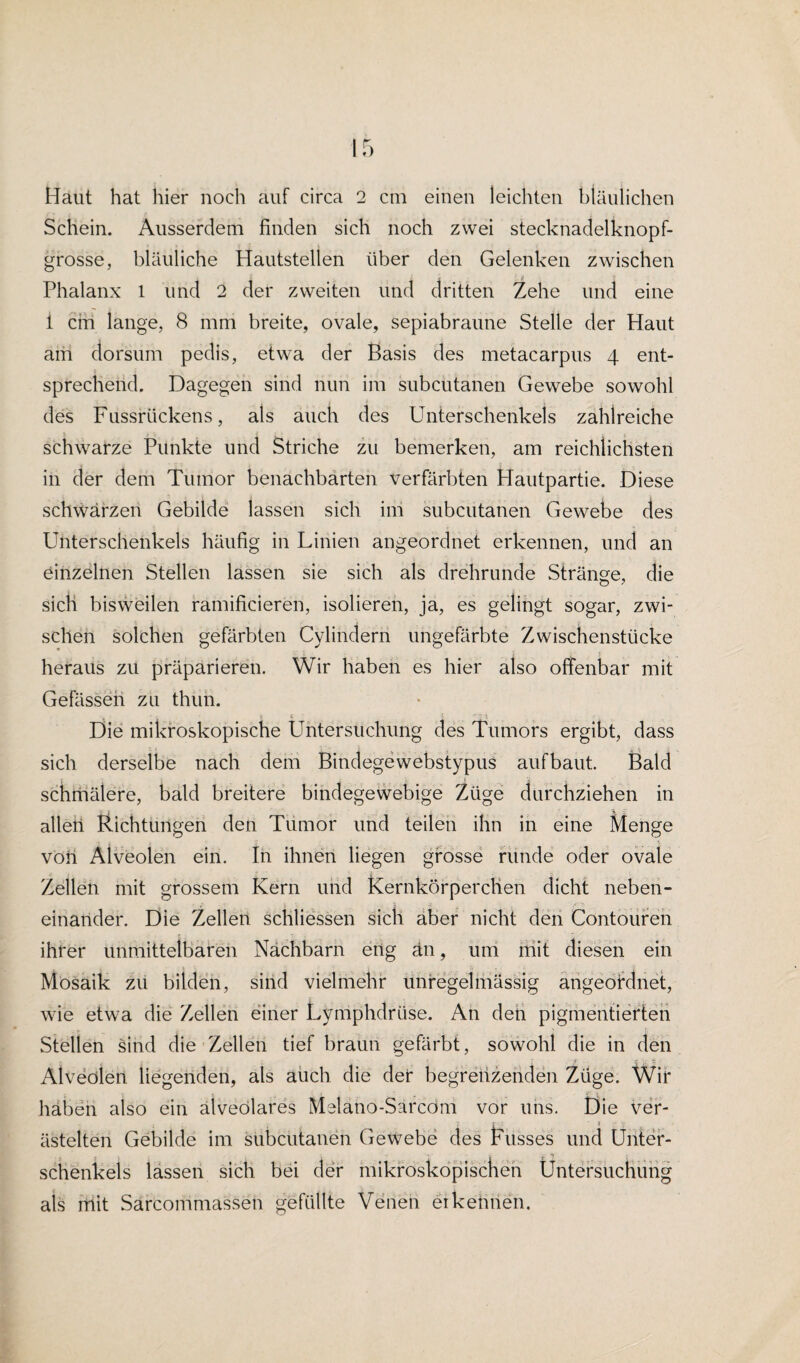 Schein. Ausserdem finden sich noch zwei stecknadelknopf¬ grosse, bläuliche Hautstellen über den Gelenken zwischen Phalanx 1 und 2 der zweiten und dritten Zehe und eine 1 cm lange, 8 mm breite, ovale, sepiabraune Stelle der Haut am dorsum pedis, etwa der Basis des metacarpus 4 ent¬ sprechend. Dagegen sind nun im subcutanen Gewebe sowohl des Fussrückens, als auch des Unterschenkels zahlreiche schwarze Punkte und Striche zu bemerken, am reichlichsten in der dem Tumor benachbarten verfärbten Frautpartie. Diese schwärzen Gebilde lassen sich im subcutanen Gewebe des Unterschenkels häufig in Linien angeordnet erkennen, und an einzelnen Stellen lassen sie sich als drehrunde Stränge, die sicli bisweilen ramificieren, isolieren, ja, es gelingt sogar, zwi¬ schen solchen gefärbten Cylindern ungefärbte Zwischenstücke heraus zu präparieren. Wir haben es hier also offenbar mit Gefässen zu thun. , i i % ‘“JX Die mikroskopische Untersuchung des Tumors ergibt, dass sich derselbe nach dem Bindegewebstypus aufbaut. Bald schmälere, bald breitere bindegewebige Züge durchziehen in allen Richtungen den Tumor und teilen ihn in eine Menge von Alveolen ein. In ihnen liegen grosse runde oder ovale Zellen mit grossem Kern und Kernkörperchen dicht neben¬ einander. Die Zellen schliessen sich aber nicht den Contouren ihrer unmittelbaren Nachbarn eng an, um mit diesen ein Mosaik zu bilden, siiid vielmehr unregelmässig angeoixlnet, wie etwa die Zellen einer Lymphdriise. An den pigmentierten .Stellen sind die Zellen tief braun gefärbt, sowohl die in den Alveolen liegenden, als auch die der begrenzenden Züge. Wir haben also ein alveolares Melano-Sarcom vor uns. Die ver¬ ästelten Gebilde im subcutanen Gewebe des Busses und Unter¬ schenkels lassen sich bei der mikroskopischen Untersuchung als mit Sarcommassen gefüllte Venen erkennen.