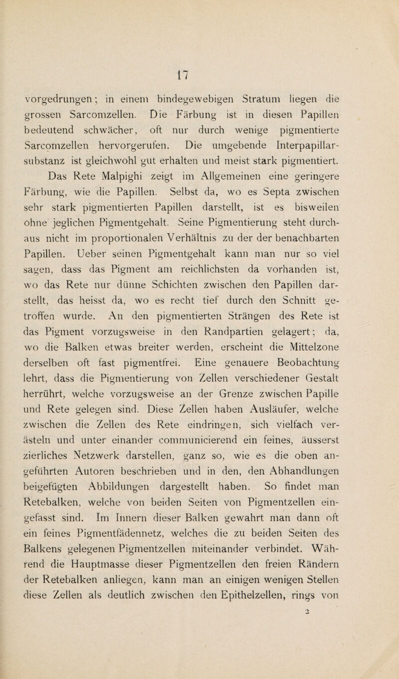 vorgedrungen; in einem bindegewebigen Stratum liegen die grossen Sarcomzellen. Die Färbung ist in diesen Papillen bedeutend schwächer, oft nur durch wenige pigmentierte Sarcomzellen hervorgerufen. Die umgebende Interpapillar- substanz ist gleichwohl gut erhalten und meist stark pigmentiert. Das Rete Malpighi zeigt im Allgemeinen eine geringere Färbung, wie die Papillen. Selbst da, wo es Septa zwischen sehr stark pigmentierten Papillen darstellt, ist es bisweilen ohne jeglichen Pigmentgehalt. Seine Pigmentierung steht durch¬ aus nicht im proportionalen Verhältnis zu der der benachbarten Papillen. Ueber seinen Pigmentgehalt kann man nur so viel sagen, dass das Pigment am reichlichsten da vorhanden ist, wo das Rete nur dünne Schichten zwischen den Papillen dar¬ stellt, das heisst da, wo es recht tief durch den Schnitt ge¬ troffen wurde. An den pigmentierten Strängen des Rete ist das Pigment vorzugsweise in den Randpartien gelagert; da, wo die Balken etwas breiter werden, erscheint die Mittelzone derselben oft fast pigmentfrei. Eine genauere Beobachtung lehrt, dass die Pigmentierung von Zellen verschiedener Gestalt herrührt, welche vorzugsweise an der Grenze zwischen Papille und Rete gelegen sind. Diese Zellen haben Ausläufer, welche zwischen die Zellen des Rete eindringen, sich vielfach ver¬ ästeln und unter einander communicierend ein feines, äusserst zierliches Netzwerk darstellen, ganz so, wie es die oben an¬ geführten Autoren beschrieben und in den, den Abhandlungen beigefügten Abbildungen dargestellt haben. So findet man Retebalken, welche von beiden Seiten von Pigmentzellen ein¬ gefasst sind. Im Innern dieser Balken gewahrt man dann oft ein feines Pigmentfädennetz, welches die zu beiden Seiten des Balkens gelegenen Pigmentzellen miteinander verbindet. Wäh¬ rend die Hauptmasse dieser Pigmentzellen den freien Rändern der Retebalken anliegen, kann man an einigen wenigen Stellen diese Zellen als deutlich zwischen den Epithelzellen, rings von