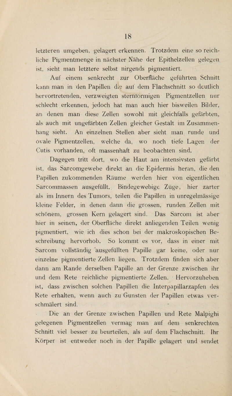 letzteren umgeben, gelagert erkennen. Trotzdem eine so reich¬ liche Pigmentmenge in nächster Nähe der Epitheizellen gelegen ist, sieht man letztere selbst nirgends pigmentiert. Auf einem senkrecht zur Oberfläche geführten Schnitt kann man in den Papillen die auf dem Flachschnitt so deutlich hervortretenden, verzweigten sternförmigen Pigmentzellen nur schlecht erkennen, jedoch hat man auch hier bisweilen Bilder, an denen man diese Zellen sowohl mit gleichfalls gefärbten, als auch mit ungefärbten Zellen gleicher Gestalt im Zusammen¬ hang sieht. An einzelnen Stellen aber sieht man runde und ovale Pigmentzellen, welche da, wo noch tiefe Lagen der Cutis vorhanden, oft massenhaft zu beobachten sind. Dagegen tritt dort, wo die Haut am intensivsten gefärbt ist, das Sarcomgewebe direkt an die Epidermis heran, die den Papillen zukommenden Räume werden hier von eigentlichen Sarcommassen ausgefüllt. Bindegewebige Züge, hier zarter als im Innern des Tumors, teilen die Papillen in unregelmässige kleine Felder, in denen dann die grossen, runden Zellen mit schönem, grossen Kern gelagert sind. Das Sarcom ist aber hier in seinen, der Oberfläche direkt anliegenden Teilen wenig pigmentiert, wie ich dies schon bei der makroskopischen Be¬ schreibung hervorhob. So kommt es vor, dass in einer mit Sarcom vollständig 'ausgefüllten Papille gar keine, oder nur einzelne pigmentierte Zellen liegen. Trotzdem finden sich aber dann am Rande derselben Papille an der Grenze zwischen ihr und dem Rete reichliche pigmentierte Zellen. Hervorzuheben ist, dass zwischen solchen Papillen die Interpapillarzapfen des Rete erhalten, wenn auch zu Gunsten der Papillen etwas ver¬ schmälert sind. Die an der Grenze zwischen Papillen und Rete Malpighi gelegenen Pigmentzellen vermag man auf dem senkrechten Schnitt viel besser zu beurteilen, als auf dem Flachschnitt. Ihr Körper ist entweder noch in der Papille gelagert und sendet