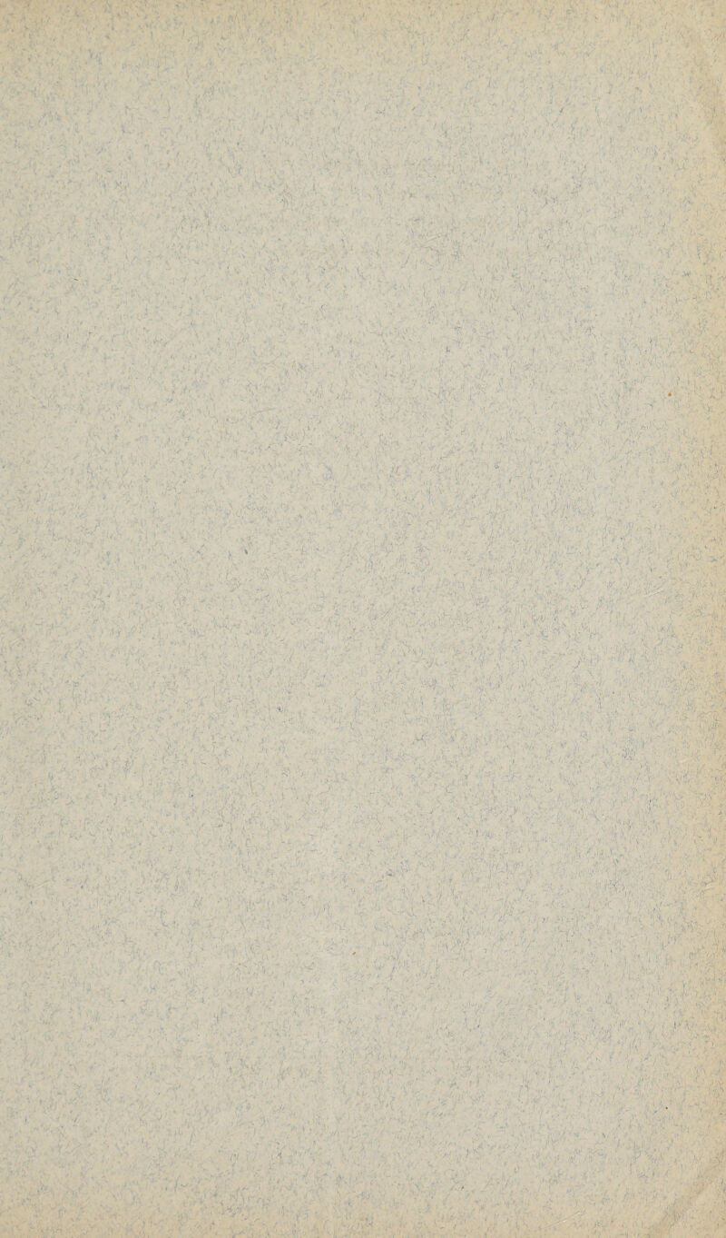 ■*4 i s • . p *- ■* v . -.1 ' , ■*' ^ ■ ) .wf ; ): ) i <•*