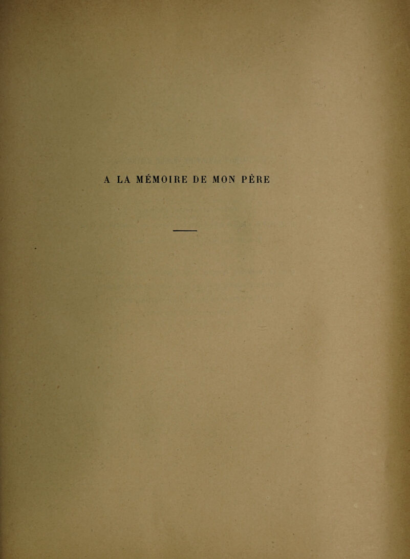 A LA MÉMOIRE DE MON PÈRE