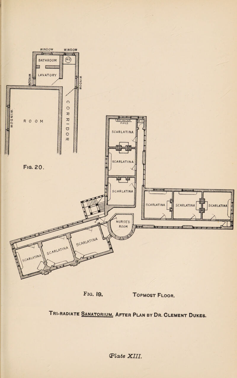 WINDOW WINDOW Tri-radiate Sanatorium. After Plan by Dr. Clement Dukes.