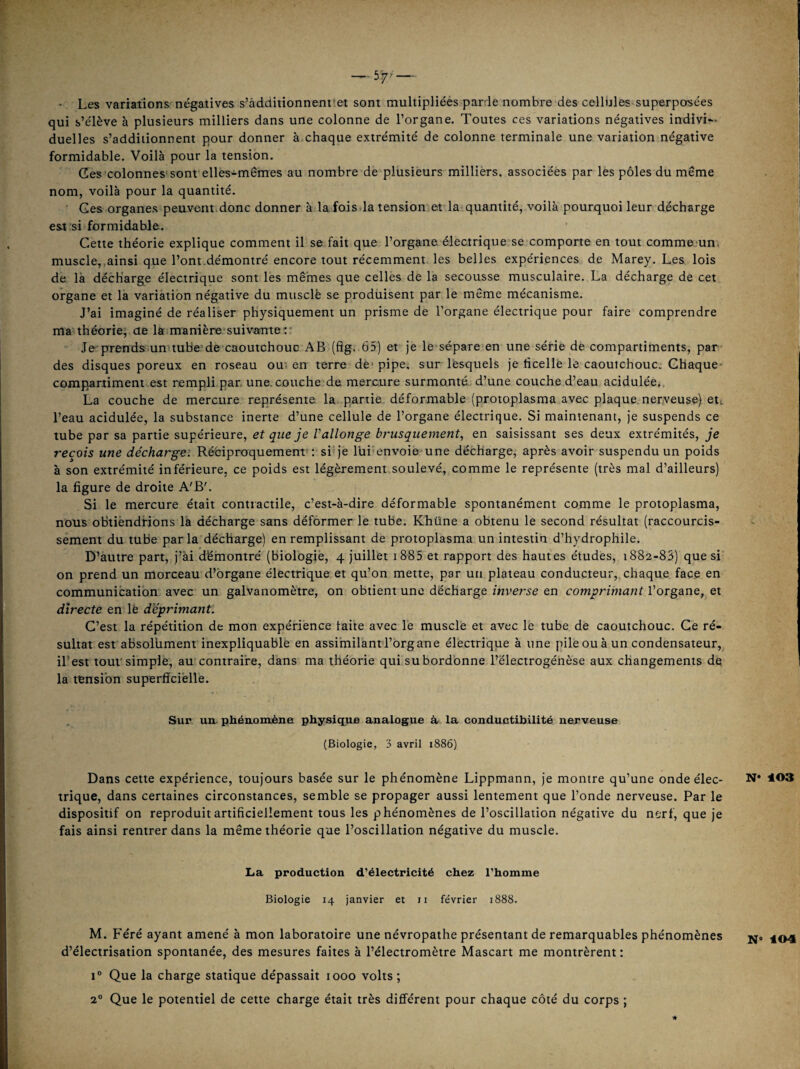 • Les variations négatives s’àdditionnent et sont multipliées parde nombre des cellules superposées qui s’élève à plusieurs milliers dans une colonne de l’organe. Toutes ces variations négatives indivi¬ duel! es s’additionnent pour donner à chaque extrémité de colonne terminale une variation négative formidable. Voilà pour la tension. Ges 'colonnes sont elles-mêmes au nombre de plusieurs milliers, associéès par les pôles du même nom, voilà pour la quantité. Ges organes peuvent donc donner à la fois la tension et la quantité, voilà pourquoi leur décharge est si formidable. Cette théorie explique comment il se fait que l’organe électrique se comporte en tout commemn, muscle,,ainsi que l’ont.démontré encore tout récemment les belles expériences de Marey. Les lois de là décharge électrique sont les mêmes que celles de la secousse musculaire. La décharge de cet organe et la variation négative du musclé se produisent par le même mécanisme. J’ai imaginé de réaliser physiquement un prisme de l’organe électrique pour faire comprendre ma théorie, de la manière'suivante r Je prends un tube’de caoutchouc AB (fîg. 65) et Je le sépare en une série de compartiments, par des disques poreux en roseau ou'en terre de* pipe, surTesquels je ficelle le caoutchouc. Chaque- compartiment est rempli par une. couche de mercure surmonté, d’une couche d’eau acidulée, La couche de mercure représente la partie déformable (protoplasma avec plaque nerveuse) ett l’eau acidulée, la substance inerte d’une cellule de l’organe électrique. Si maintenant, je suspends ce tube par sa partie supérieure, et que je Vallonge brusquement, en saisissant ses deux extrémités, je reçois une décharge: Réciproquement : si‘je lui'envoie une décharge, après avoir suspendu un poids à son extrémité inférieure, ce poids est légèrement soulevé, comme le représente (très mal d’ailleurs) la figure de droite A'B'. Si le mercure était contractile, c’est-à-dire déformable spontanément comme le protoplasma, nous obtiendrions là décharge sans déformer le tube. Khüne a obtenu le second résultat (raccourcis¬ sement du tube par la décharge) en remplissant de protoplasma un intestin d’hydrophile. D’autre part, j’ài démontré (biologie, 4 juillet i885 et rapport des hautes études, 1882-83) que si on prend un morceau d’brgane électrique et qu’on mette, par un plateau conducteur, chaque face en communication avec un galvanomètre, on obtient une décharge inverse en comprimant l’organe, et directe en lé déprimant. C’est la répétition de mon expérience laite avec le muscle et avec le tube de caoutchouc. Ce ré¬ sultat est absolument inexpliquable en assimilant l’organe électriqiie à une pile ou à un condensateur, il’est tout*simple, au contraire, dans ma théorie qui subordonne l’électrogénèse aux changements dq la tension superficielle. Sur un. phénomène physique analogue à. la conductibilité nerveuse (Biologie, 3 avril 1886) Dans cette expérience, toujours basée sur le phénomène Lippmann, je montre qu’une onde élec¬ trique, dans certaines circonstances, semble se propager aussi lentement que l’onde nerveuse. Par le dispositif on reproduit artificiellement tous les phénomènes de l’oscillation négative du nerf, que je fais ainsi rentrer dans la même théorie que l’oscillation négative du muscle. La production d’électricité chez l’homme Biologie 14 janvier et ii février 1888. M. Féré ayant amené à mon laboratoire une névropathe présentant de remarquables phénomènes d’électrisation spontanée, des mesures faites à l’électromètre Mascart me montrèrent: 1® Que la charge statique dépassait 1000 volts; 2® Que le potentiel de cette charge était très différent pour chaque côté du corps ;