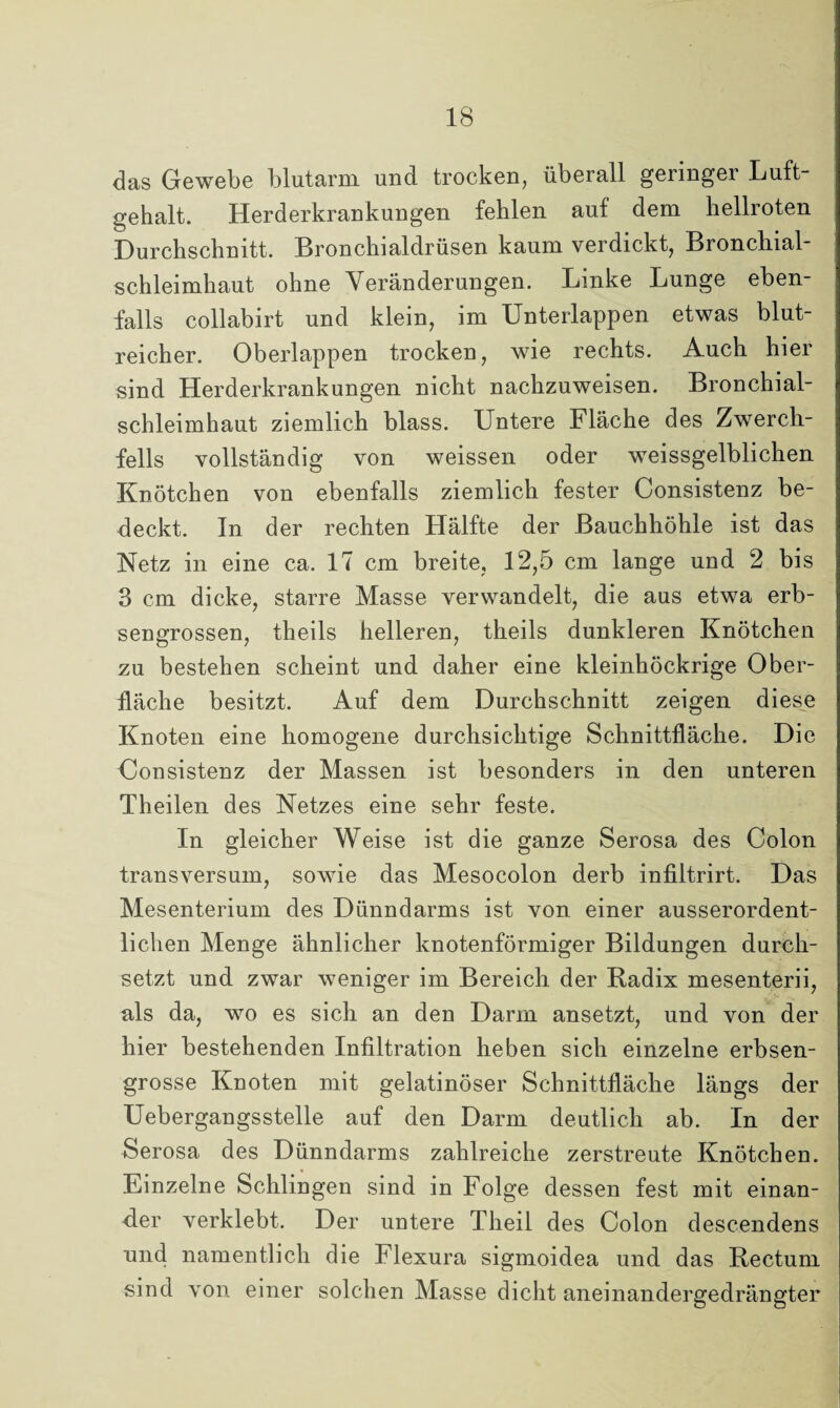 das Gewebe blutarm und trocken, überall geringer Luft¬ gehalt. Herderkrankungen fehlen auf dem hellroten Durchschnitt. Bronchialdrüsen kaum verdickt, Bronchial¬ schleimhaut ohne Veränderungen. Linke Lunge eben¬ falls collabirt und klein, im Unterlappen etwas blut¬ reicher. Oberlappen trocken, wie rechts. Auch hier sind Herderkrankungen nicht nachzuweisen. Bronchial¬ schleimhaut ziemlich blass. Untere Fläche des Zwerch¬ fells vollständig von weissen oder weissgelblichen Knötchen von ebenfalls ziemlich fester Consistenz be¬ deckt. In der rechten Hälfte der Bauchhöhle ist das Netz in eine ca. 17 cm breite, 12,5 cm lange und 2 bis 3 cm dicke, starre Masse verwandelt, die aus etwa erb¬ sengrossen, theils helleren, theils dunkleren Knötchen zu bestehen scheint und daher eine kleinhöckrige Ober¬ fläche besitzt. Auf dem Durchschnitt zeigen diese Knoten eine homogene durchsichtige Schnittfläche. Die Consistenz der Massen ist besonders in den unteren Theilen des Netzes eine sehr feste. In gleicher Weise ist die ganze Serosa des Colon transversum, sowie das Mesocolon derb infiltrirt. Das Mesenterium des Dünndarms ist von einer ausserordent¬ lichen Menge ähnlicher knotenförmiger Bildungen durch¬ setzt und zwar weniger im Bereich der Radix mesenterii, als da, wo es sich an den Darm ansetzt, und von der hier bestehenden Infiltration heben sich einzelne erbsen¬ grosse Knoten mit gelatinöser Schnittfläche längs der Uebergangsstelle auf den Darm deutlich ab. In der Serosa des Dünndarms zahlreiche zerstreute Knötchen. Einzelne Schlingen sind in Folge dessen fest mit einan¬ der verklebt. Der untere Theil des Colon descendens und namentlich die Flexura sigmoidea und das Rectum sind von einer solchen Masse dicht aneinandergedrängter