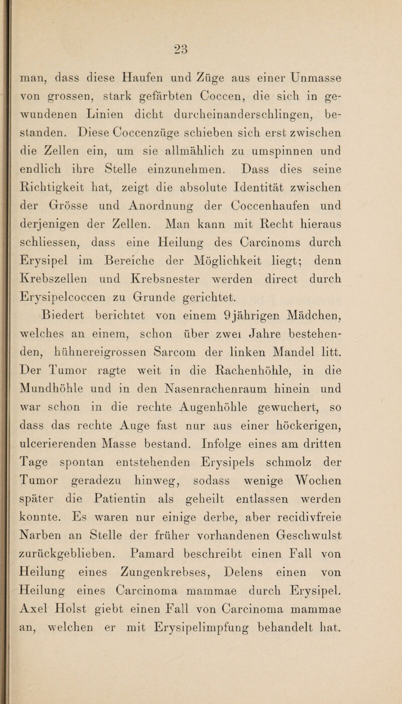 man, dass diese Haufen und Züge aus einer Unmasse von grossen, stark gefärbten Coccen, die sich in ge¬ wundenen Linien dicht durcheinanderschlingen, be¬ standen. Diese Coccenzüge schieben sich erst zwischen die Zellen ein, um sie allmählich zu umspinnen und endlich ihre Stelle einzunehmen. Dass dies seine Richtigkeit hat, zeigt die absolute Identität zwischen der Grösse und Anordnung der Coccenhaufen und derjenigen der Zellen. Man kann mit Recht hieraus schliessen, dass eine Heilung des Carcinoms durch Erysipel im Bereiche der Möglichkeit liegt; denn Krebszellen und Krebsnester werden direct durch Erysipelcoccen zu Grunde gerichtet. Biedert berichtet von einem 9jährigen Mädchen, welches an einem, schon über zwei Jahre bestehen¬ den, hühnereigrossen Sarcom der linken Mandel litt. Der Tumor ragte weit in die Rachenhöhle, in die Mundhöhle und in den Nasenrachenraum hinein und war schon in die rechte Augenhöhle gewuchert, so dass das rechte Auge fast nur aus einer höckerigen, ulcerierenden Masse bestand. Infolge eines am dritten Tage spontan entstehenden Erysipels schmolz der Tumor geradezu hinweg, sodass wenige Wochen später die Patientin als geheilt entlassen werden konnte. Es waren nur einige derbe, aber recidivfreie Narben an Stelle der früher vorhandenen Geschwulst zurückgeblieben. Pamard beschreibt einen Fall von Heilung eines Zungenkrebses, Delens einen von Heilung eines Carcinoma mammae durch Erysipel. Axel Holst giebt einen Fall von Carcinoma mammae an, welchen er mit Erysipelimpfung behandelt hat.